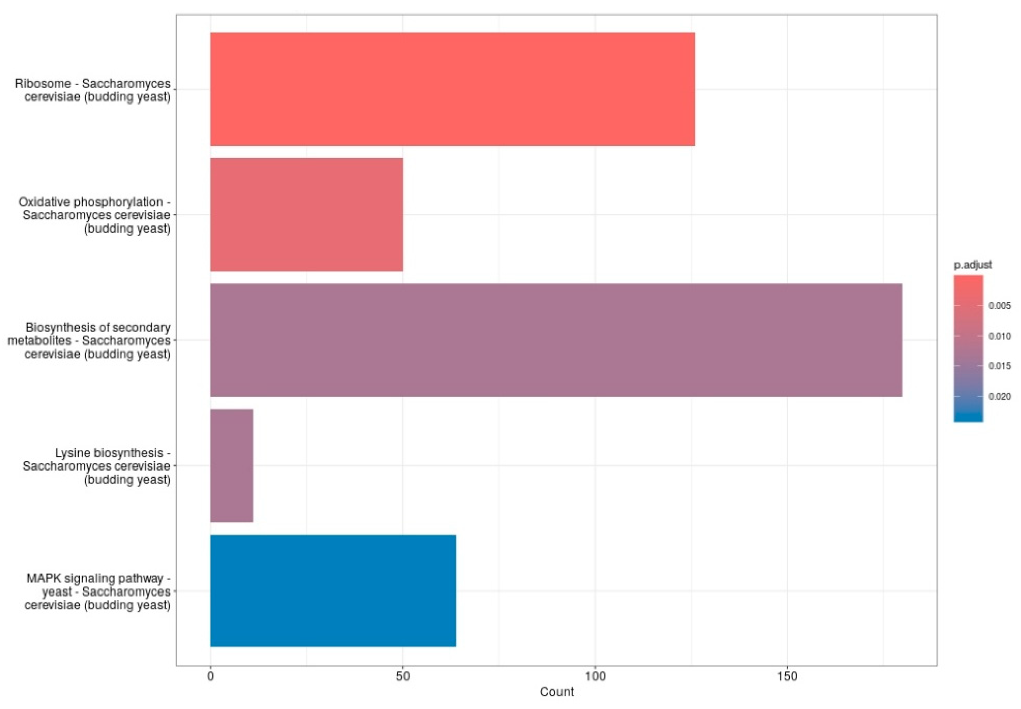 Molecules 31 00376 g007
