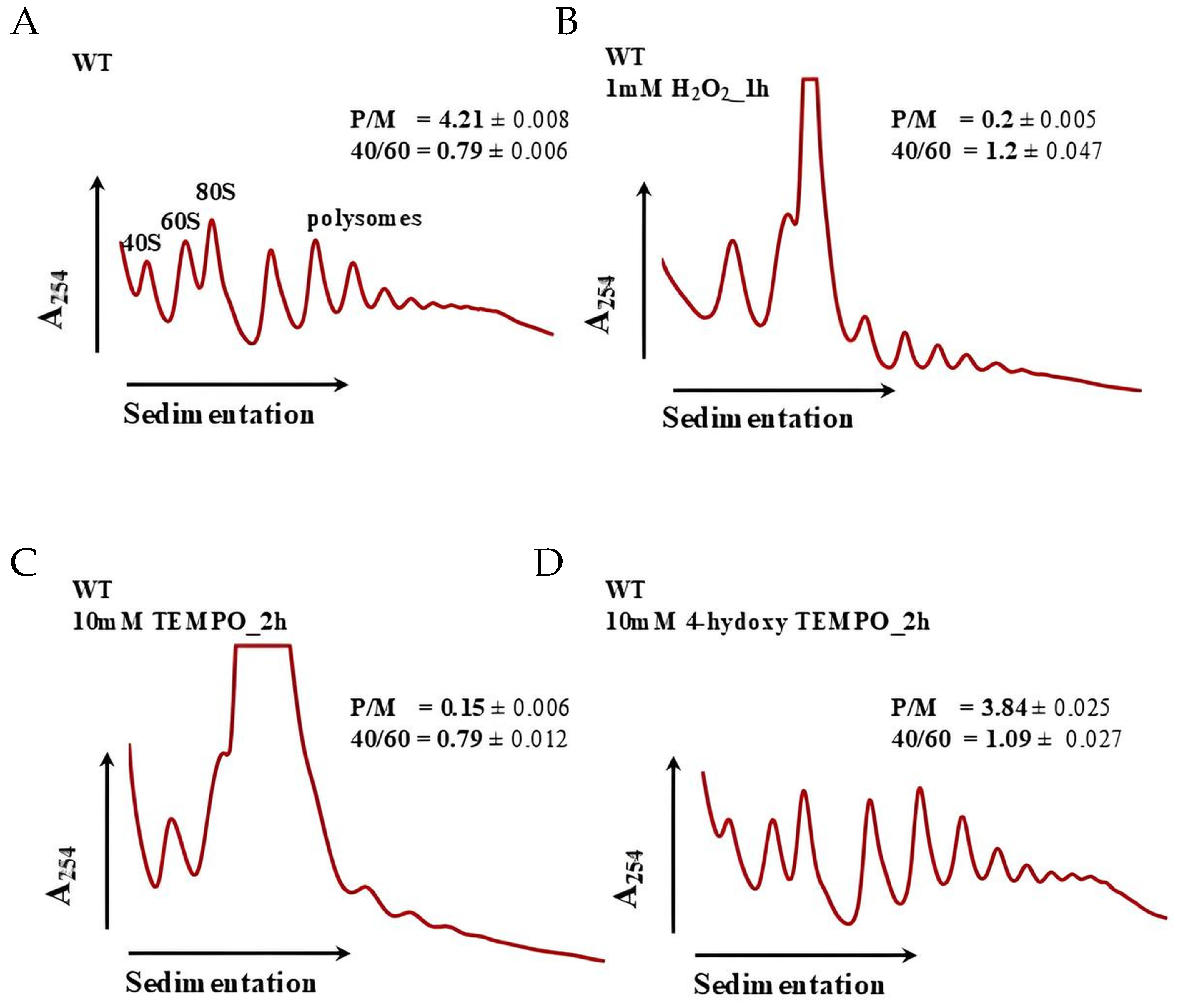 Molecules 31 00376 g010