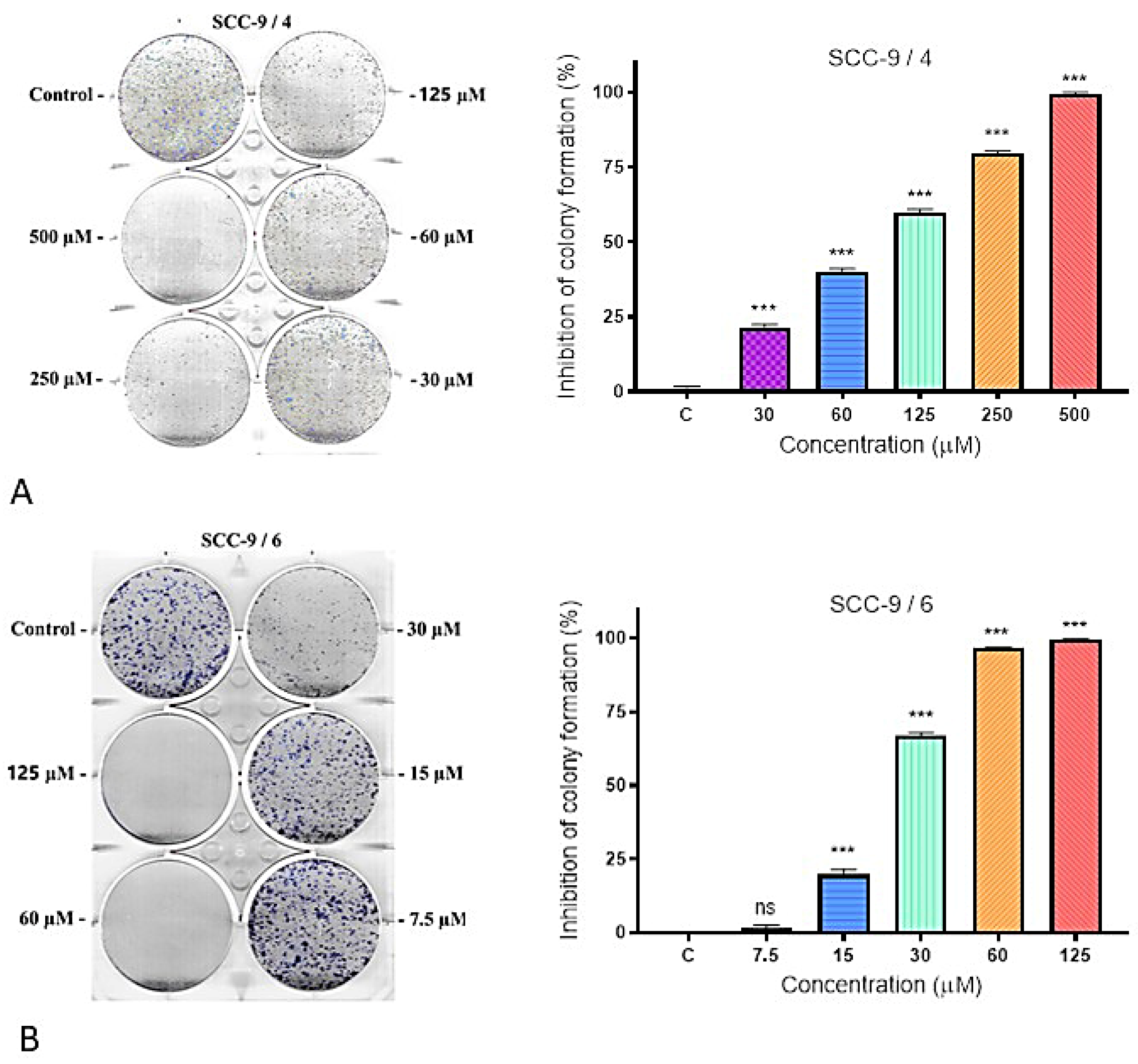 Molecules 31 00397 g004