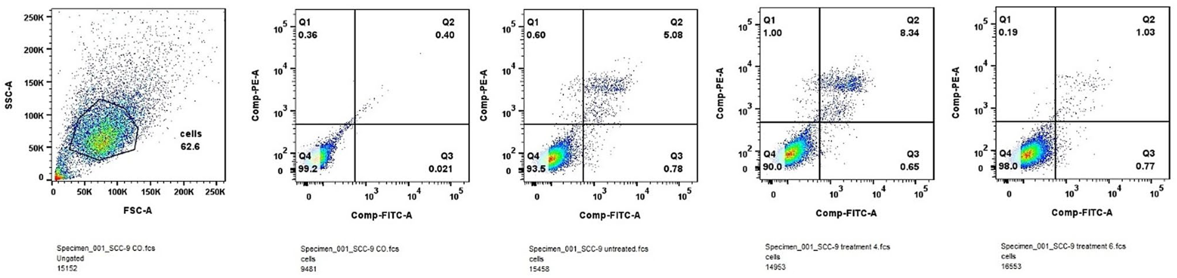 Molecules 31 00397 g006