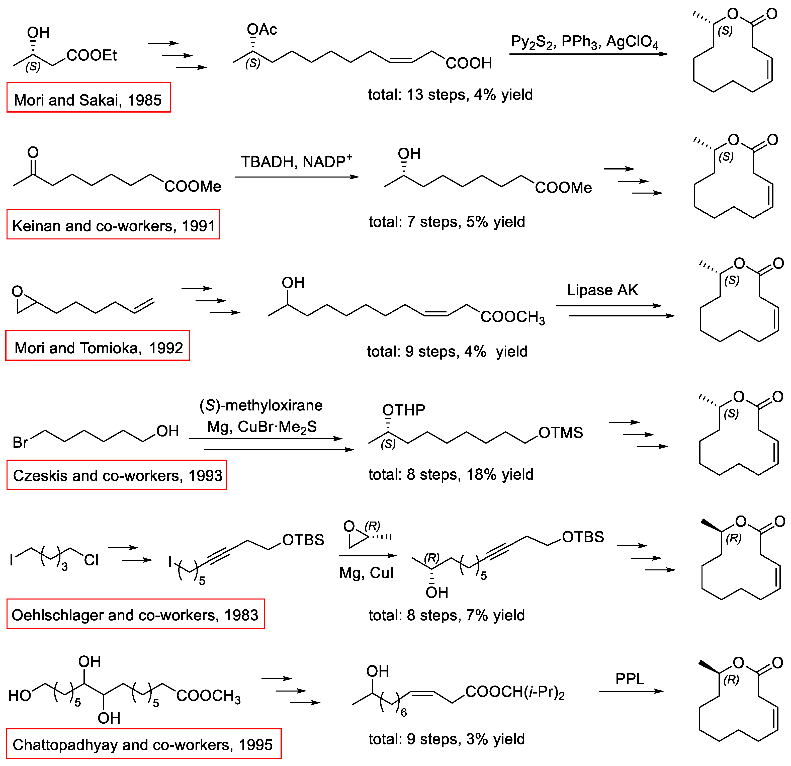 Molecules 31 00404 sch002 Molecules 31 00404 sch002