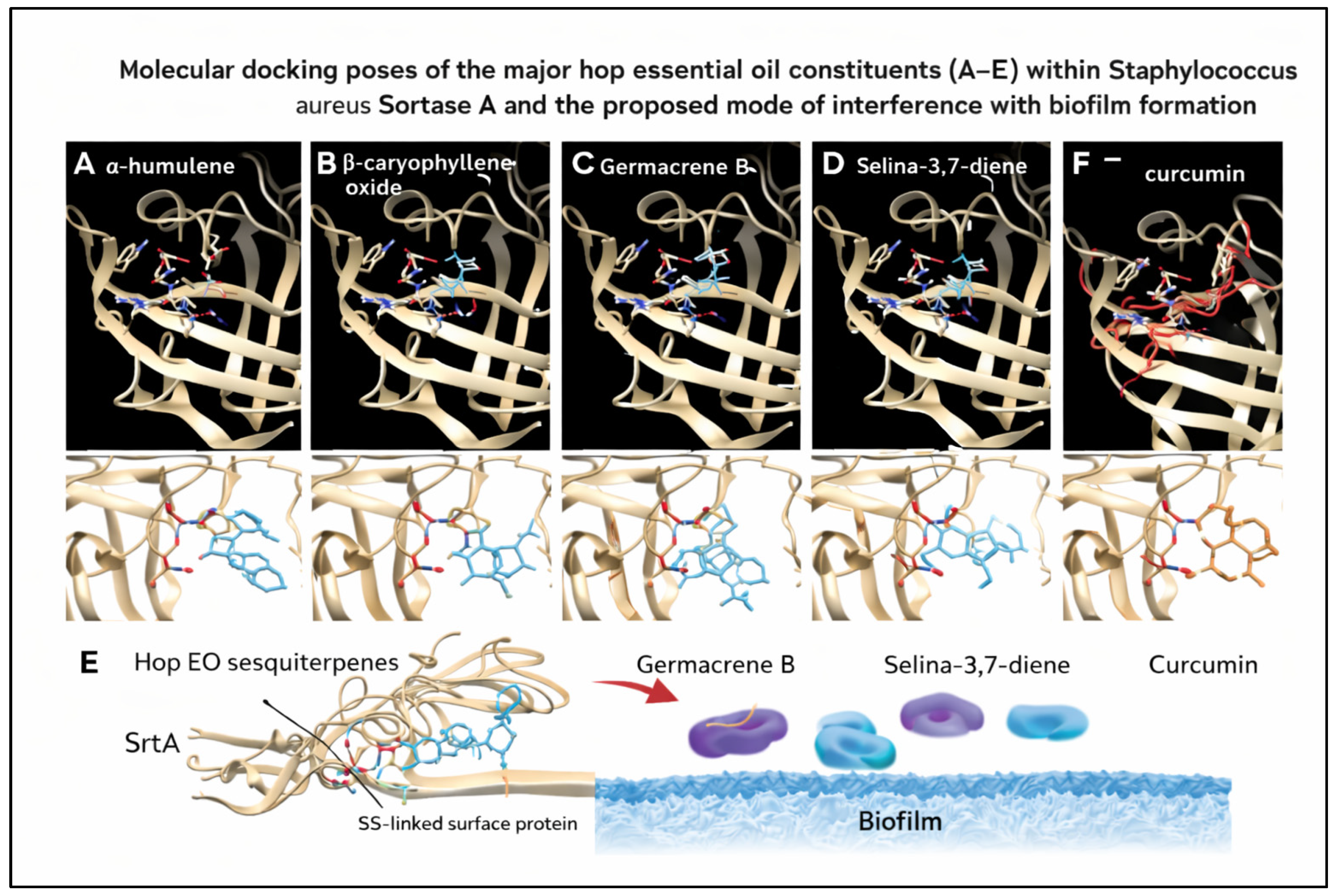 Molecules 31 00405 g005