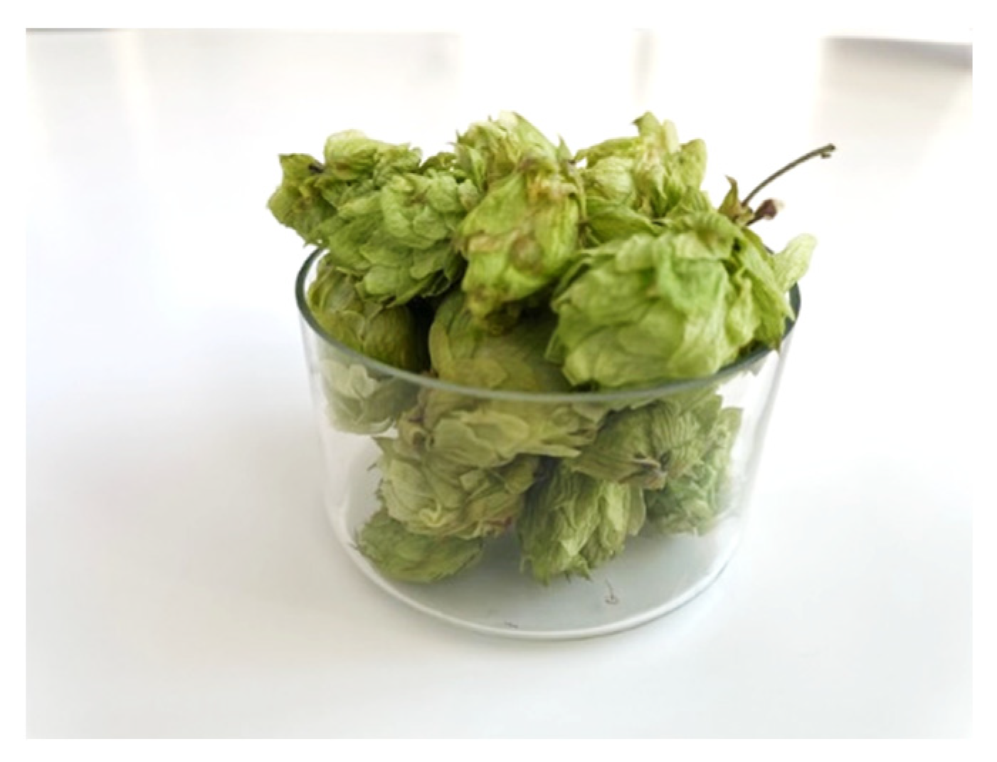 Molecules 31 00405 g006