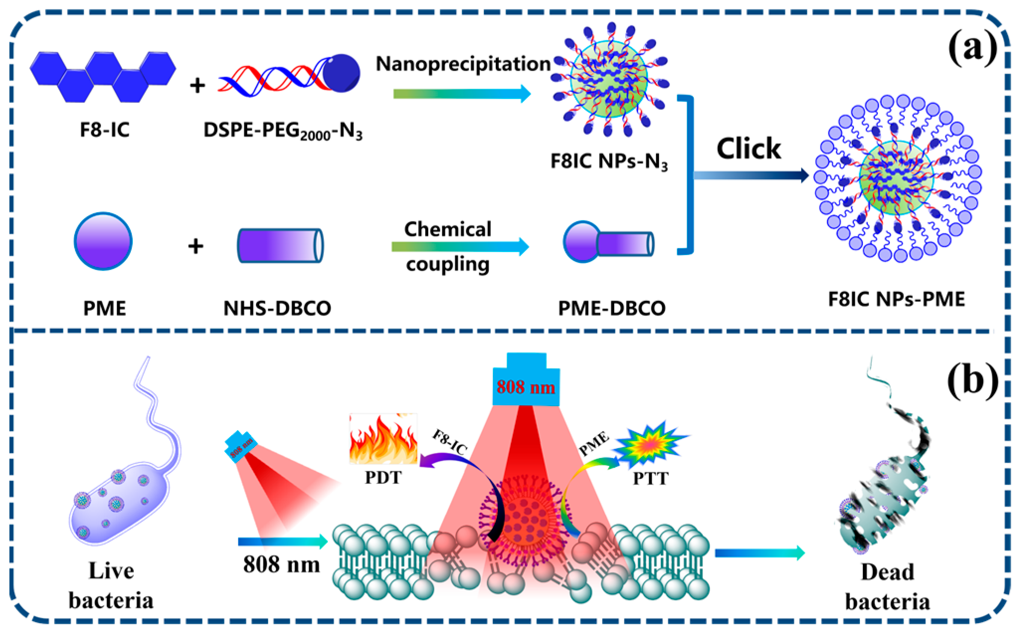 Molecules 31 00409 sch001