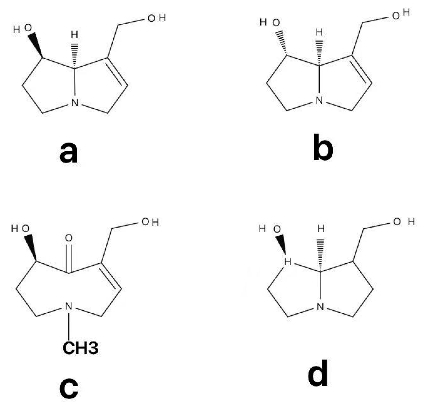 Molecules 31 00410 g001 Molecules 31 00410 g001