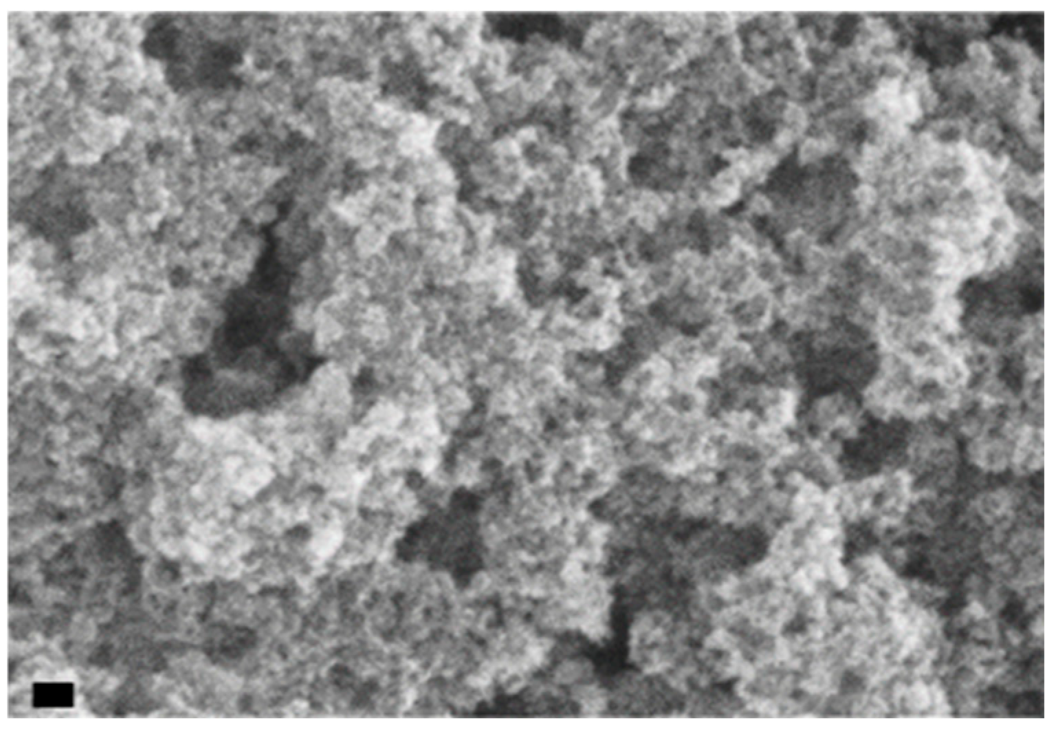 Molecules 31 00416 g001