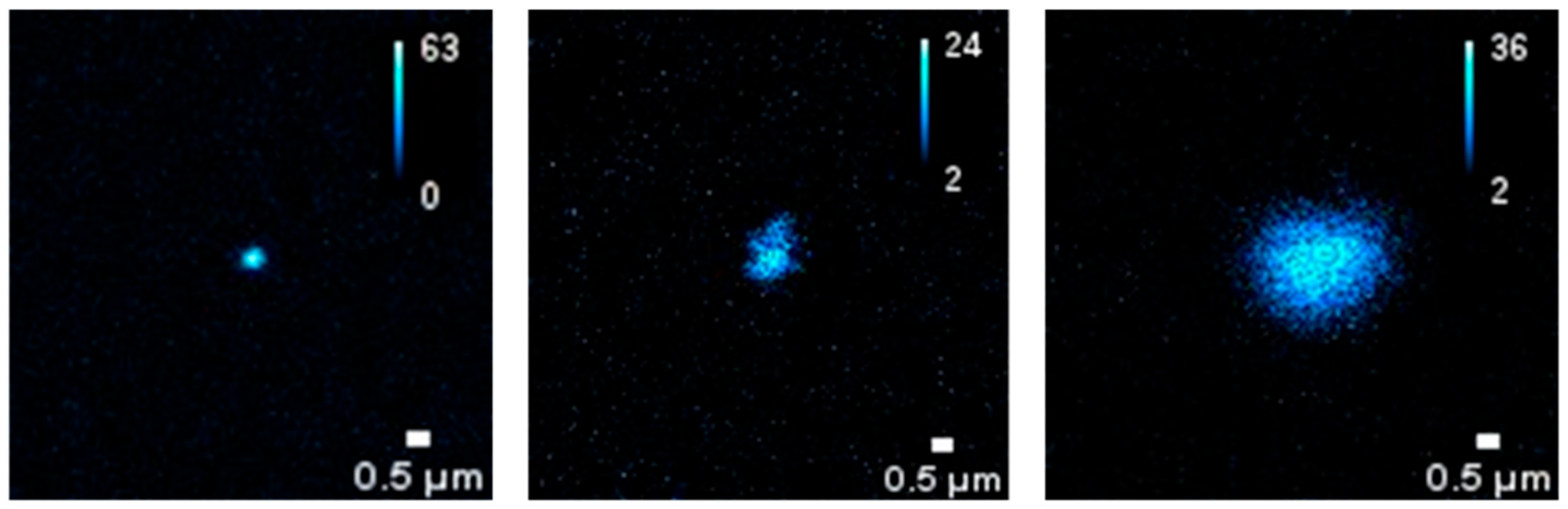 Molecules 31 00416 g003