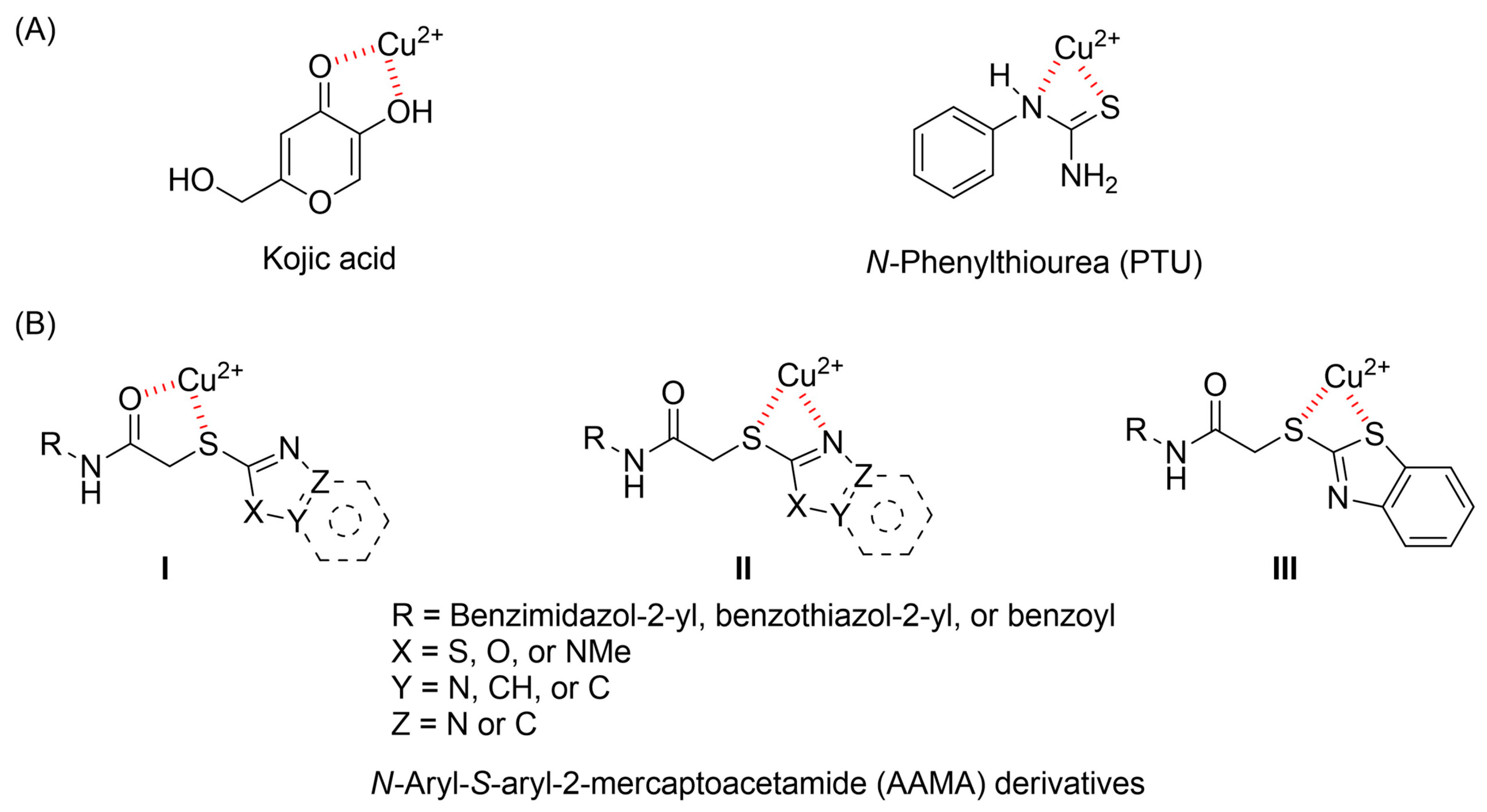 Molecules 31 00422 g001
