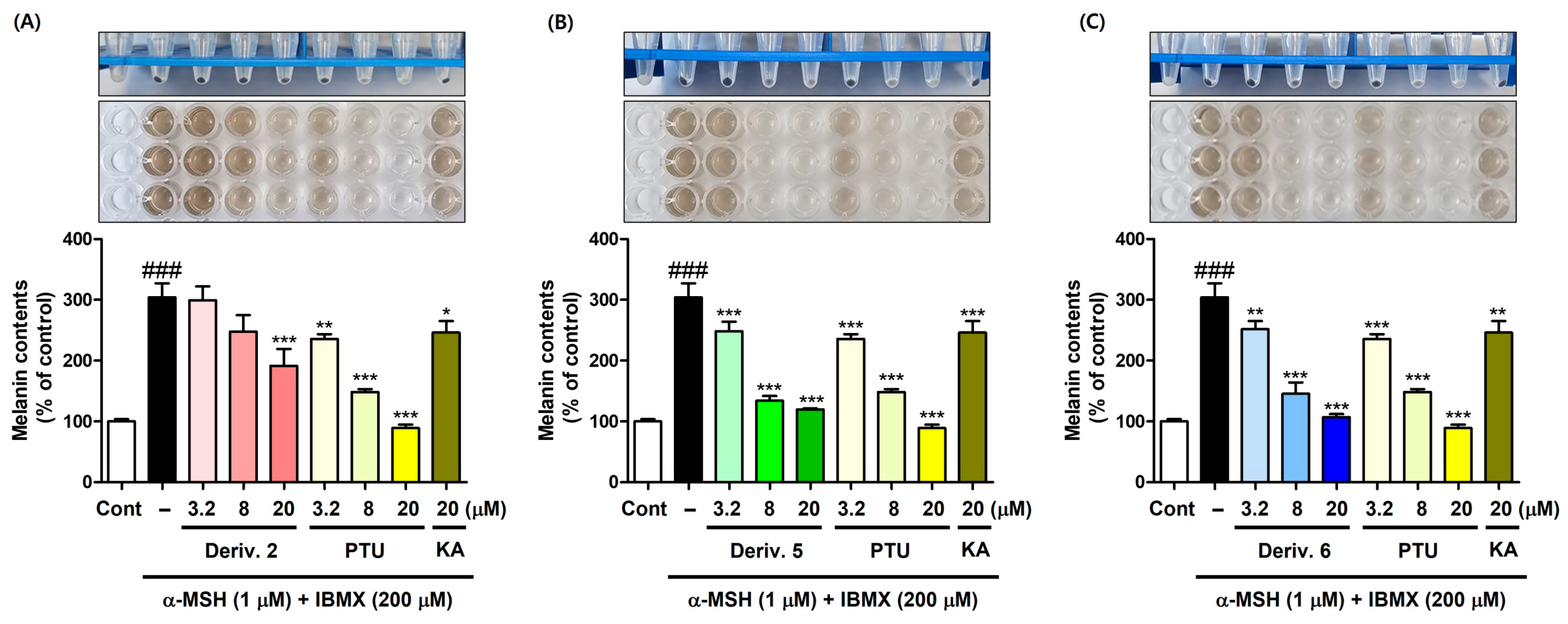 Molecules 31 00422 g007