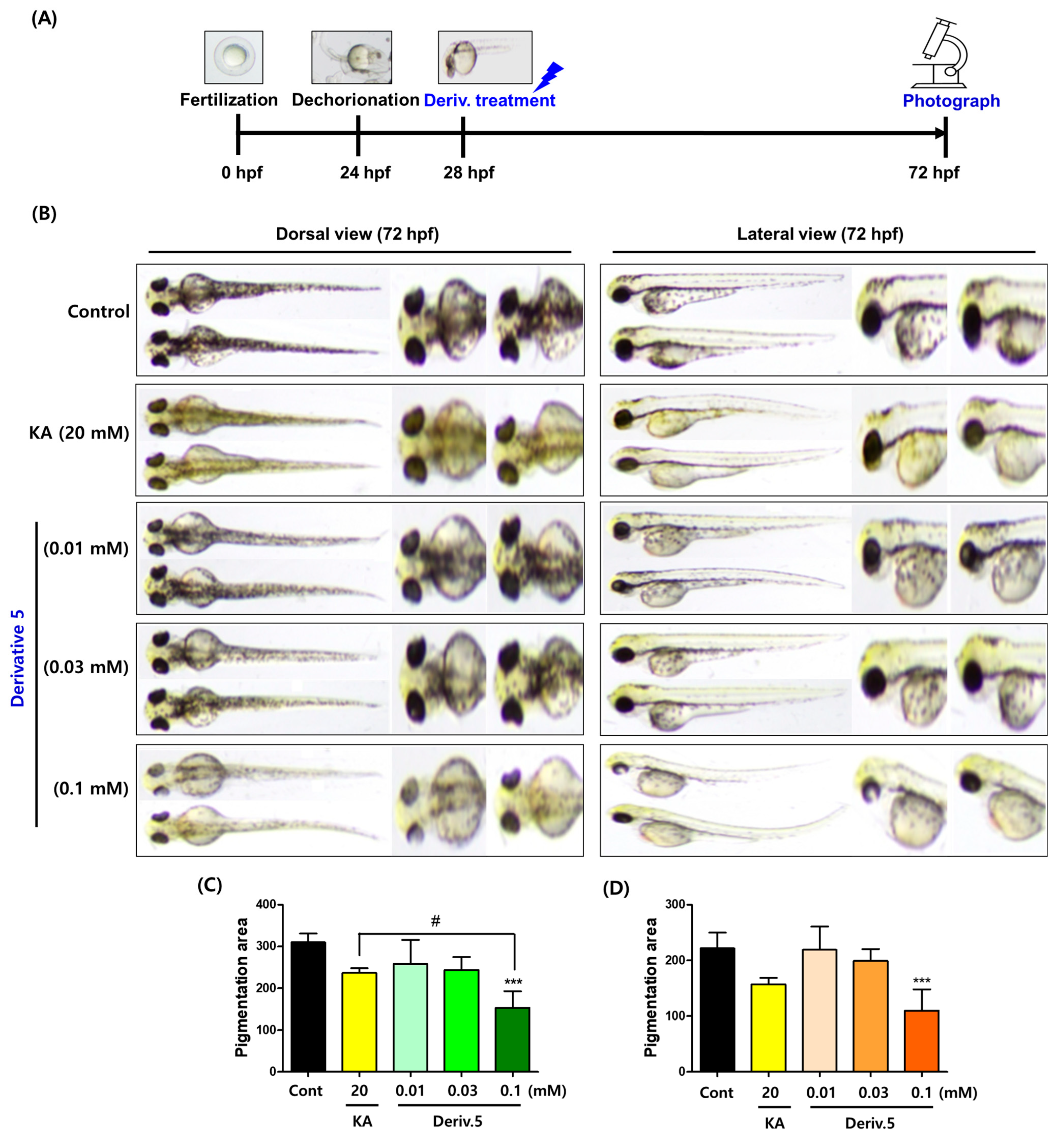 Molecules 31 00422 g009