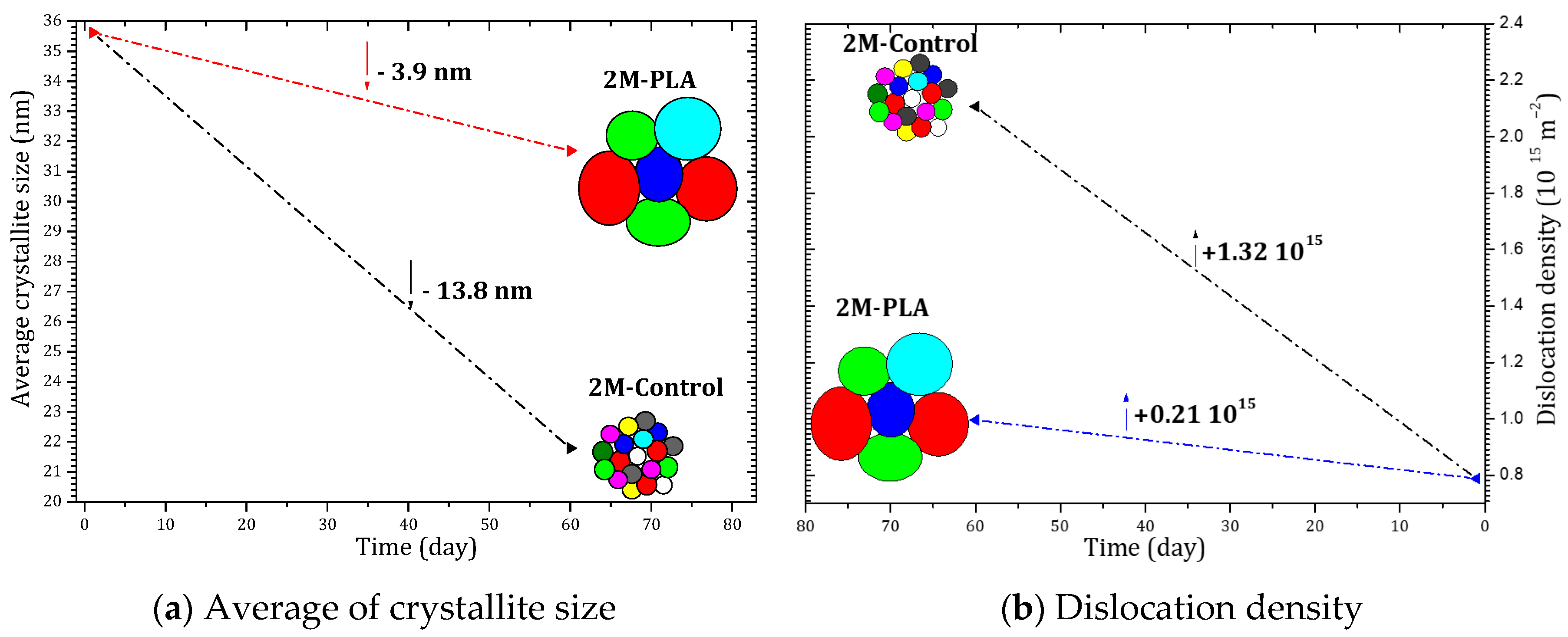 Molecules 31 00427 g006
