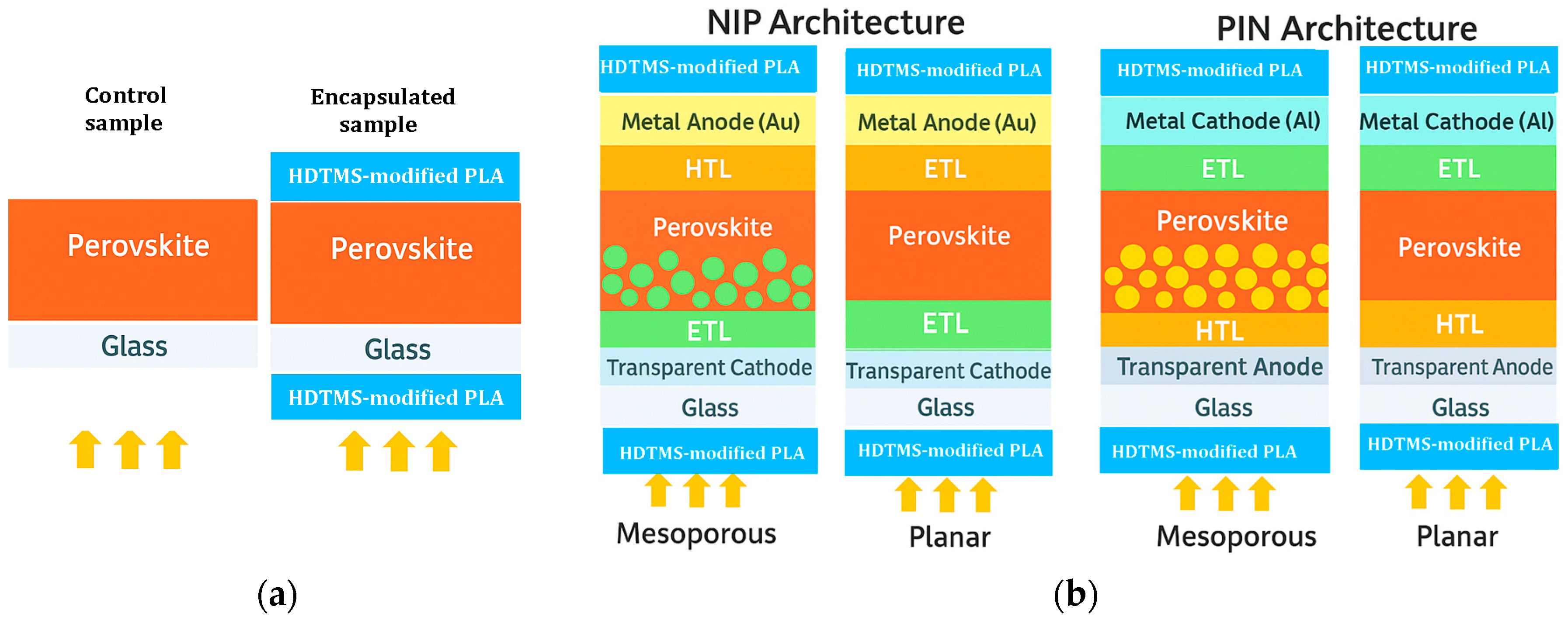 Molecules 31 00427 g009