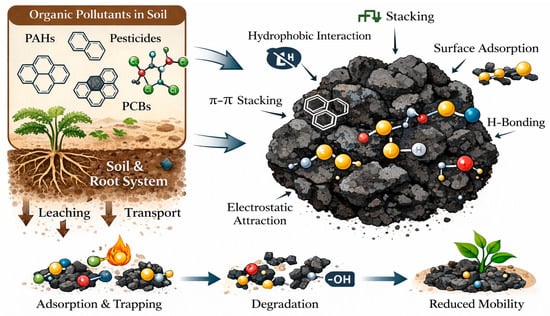 Biochar Innovations for Organic Pollutant Remediation in Contaminated ...