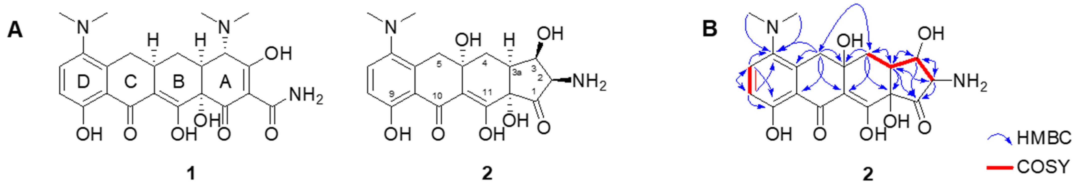 Molecules 31 00435 g002 Molecules 31 00435 g002
