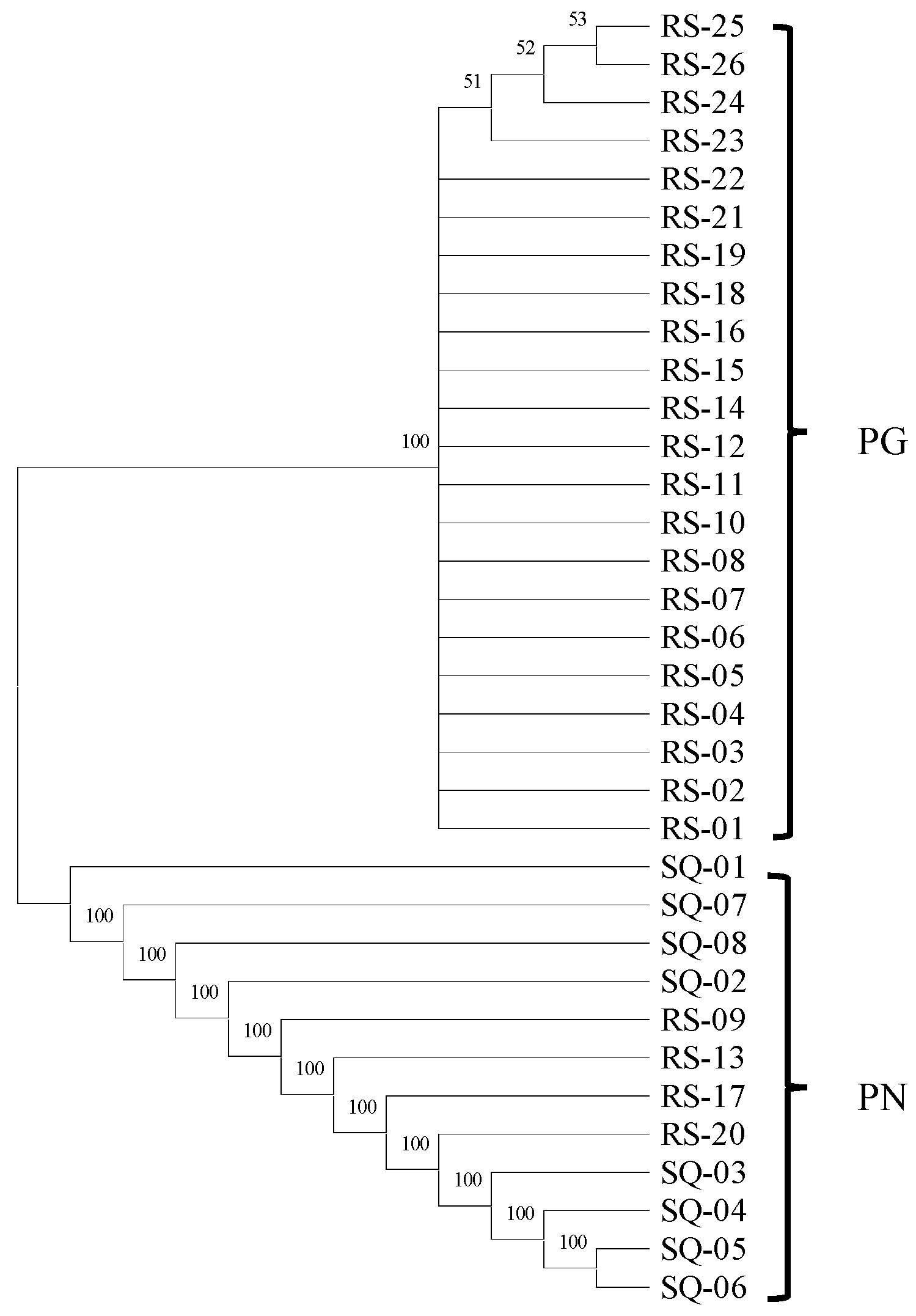 Molecules 31 00441 g006