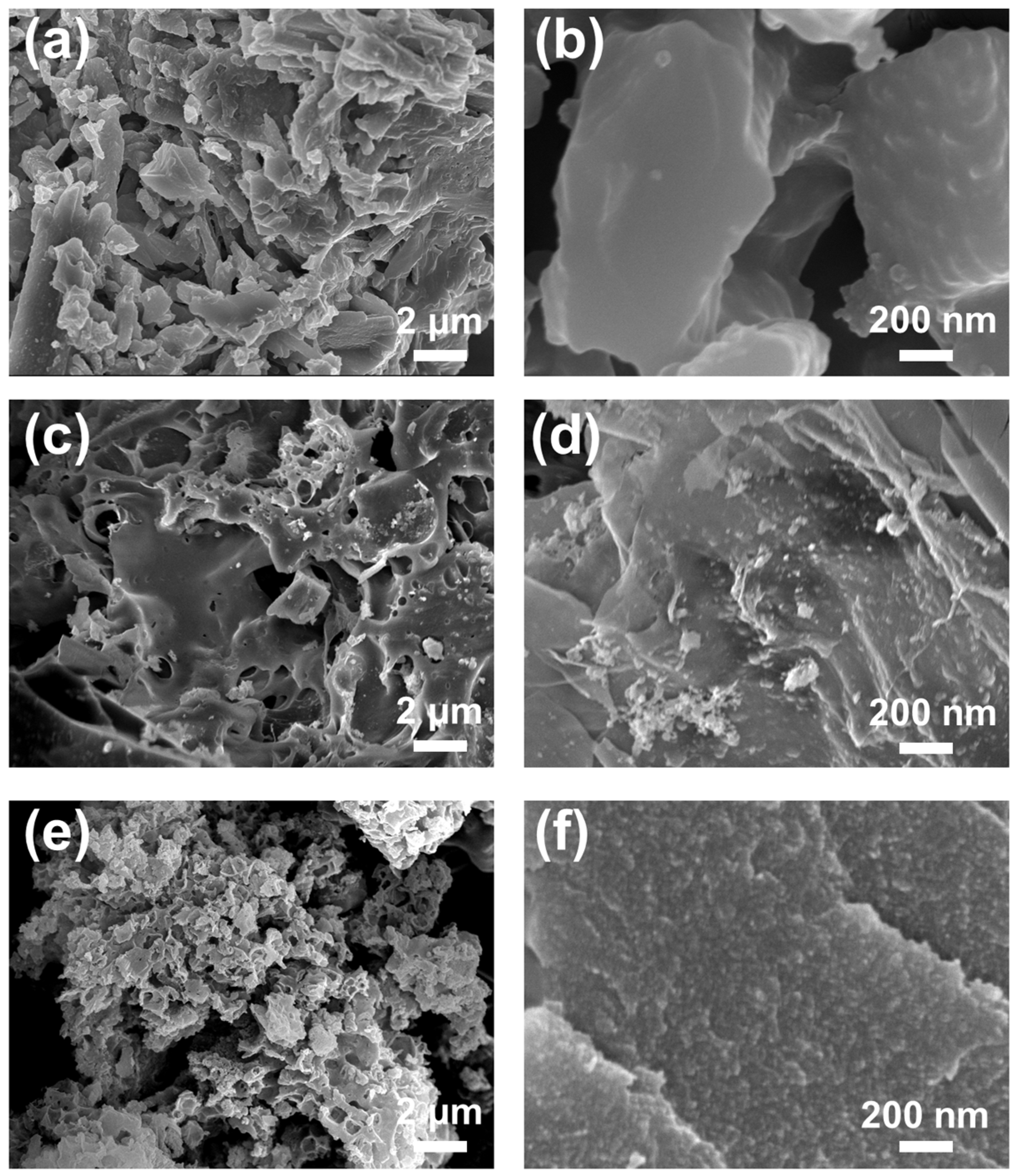 Molecules 31 00447 g001