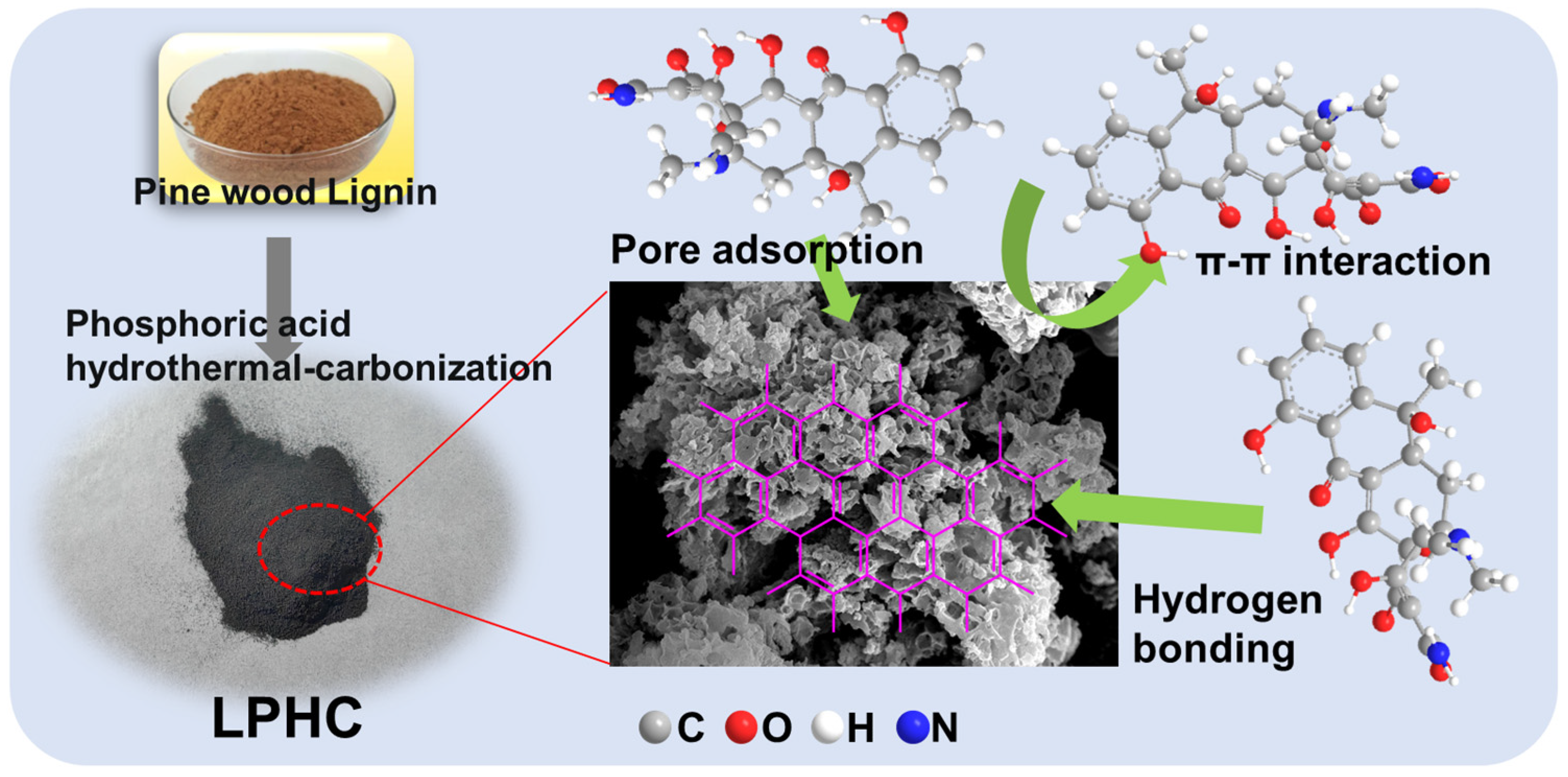 Molecules 31 00447 g009