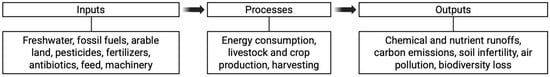 Flowchart indicating taxing inputs into conventional agriculture systems with yields and outcomes to assess linear relationships.