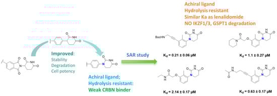 CRBN ligands based on phenyl dihydrouracil derivatives.