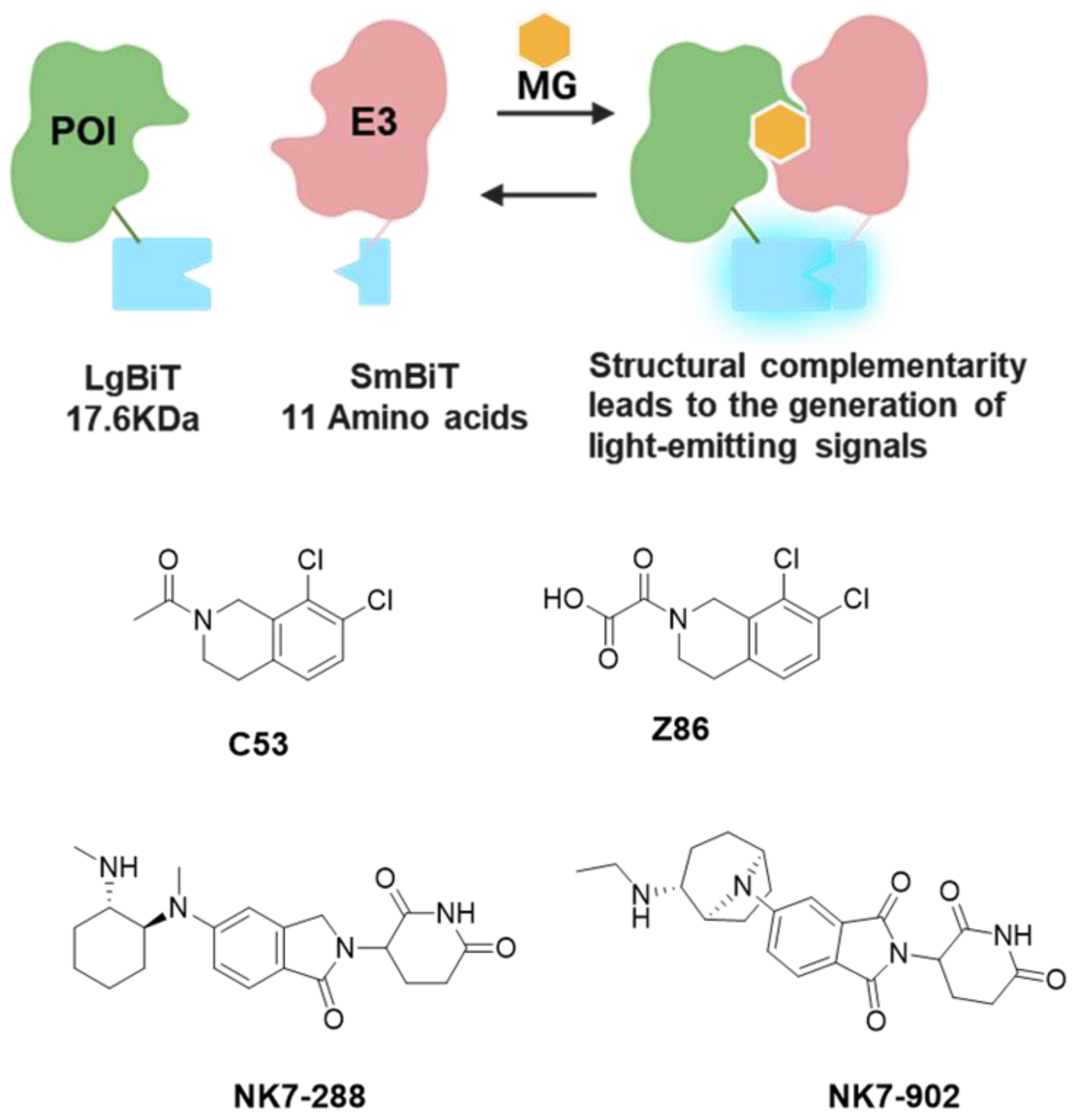 Molecules 31 00459 g003