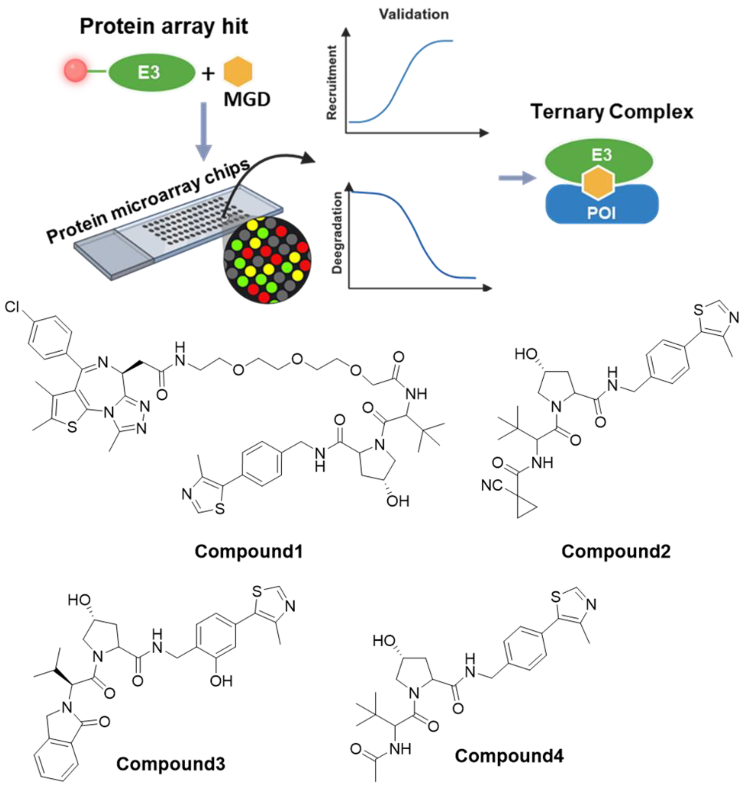 Molecules 31 00459 g004