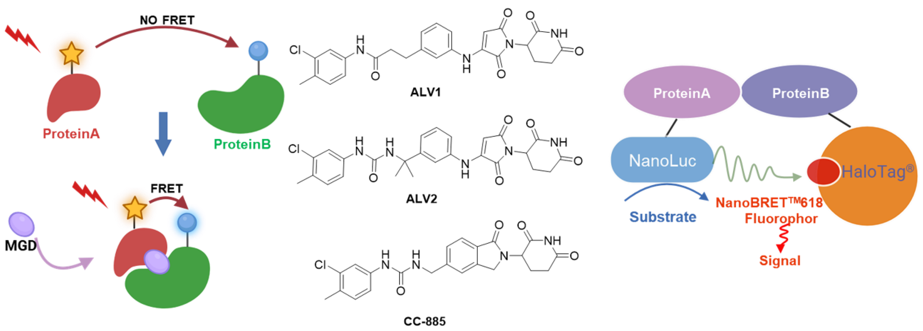 Molecules 31 00459 g005