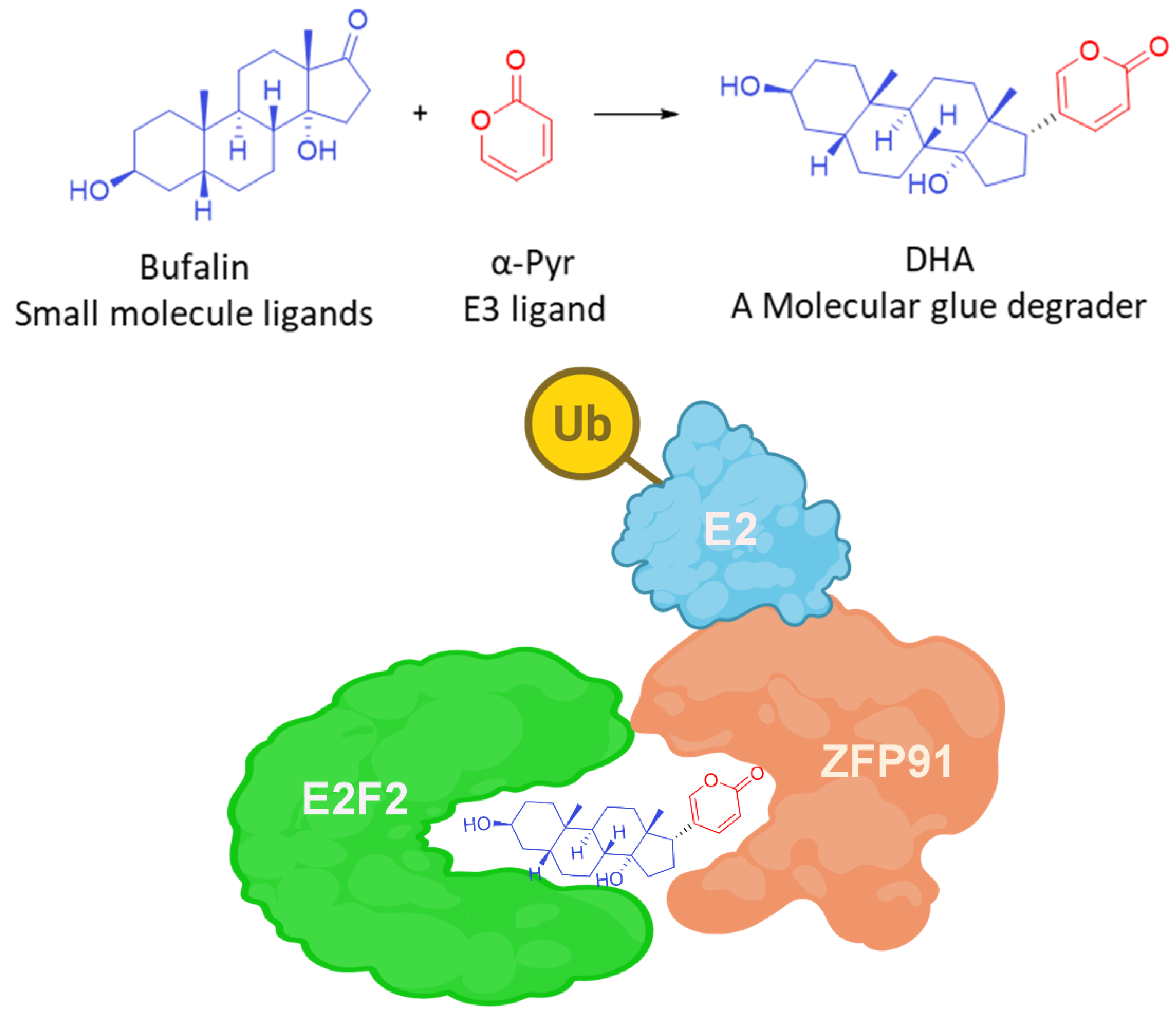 Molecules 31 00459 g010