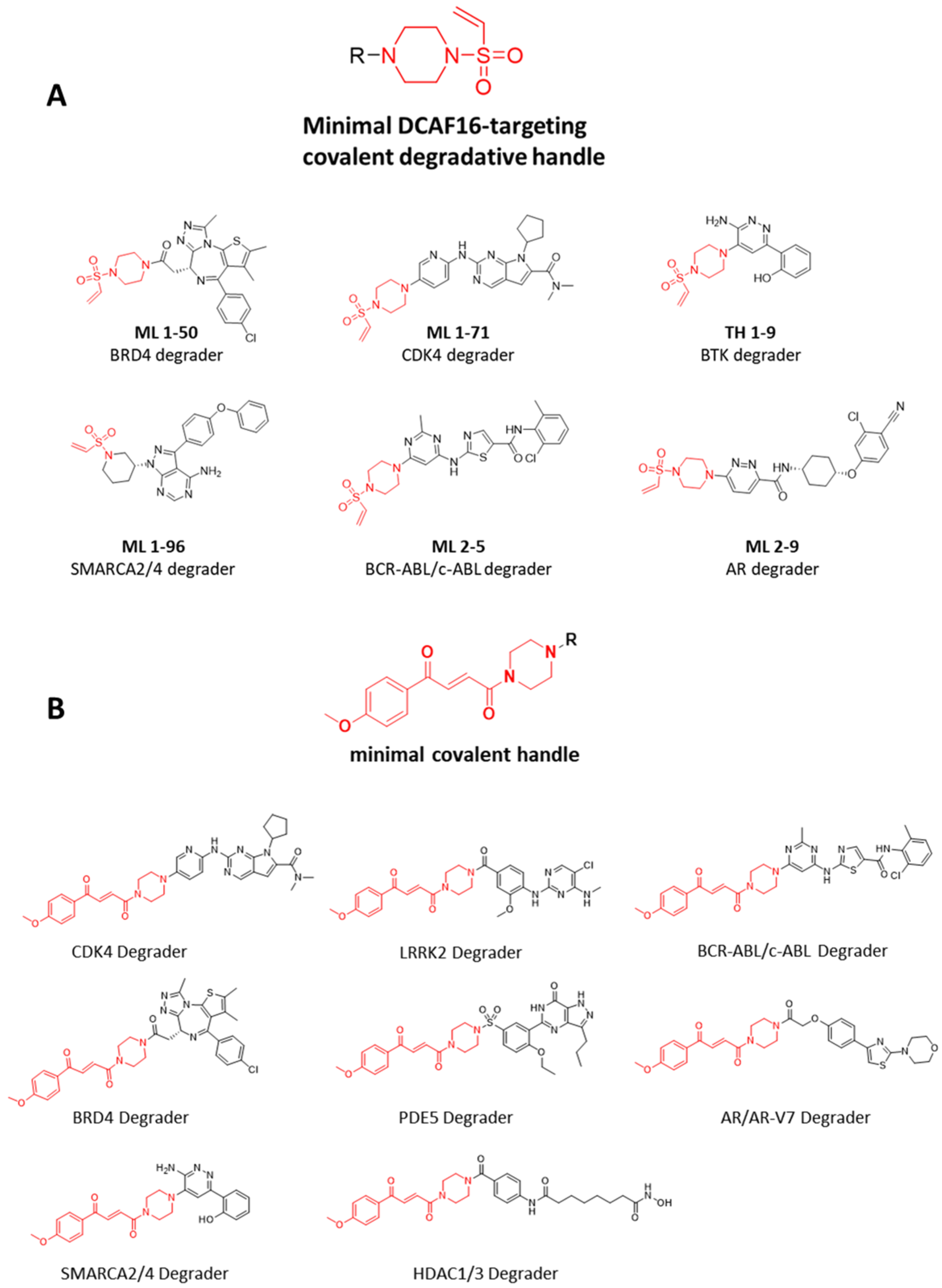 Molecules 31 00459 g012