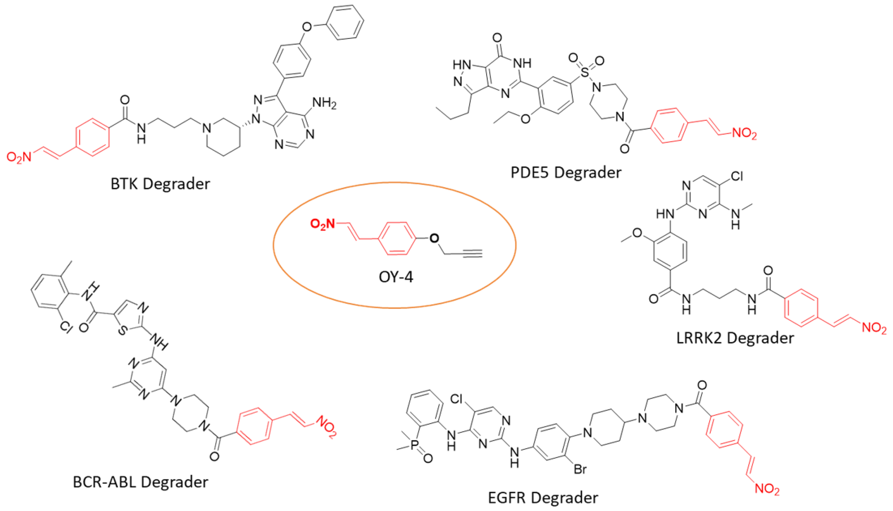 Molecules 31 00459 g013