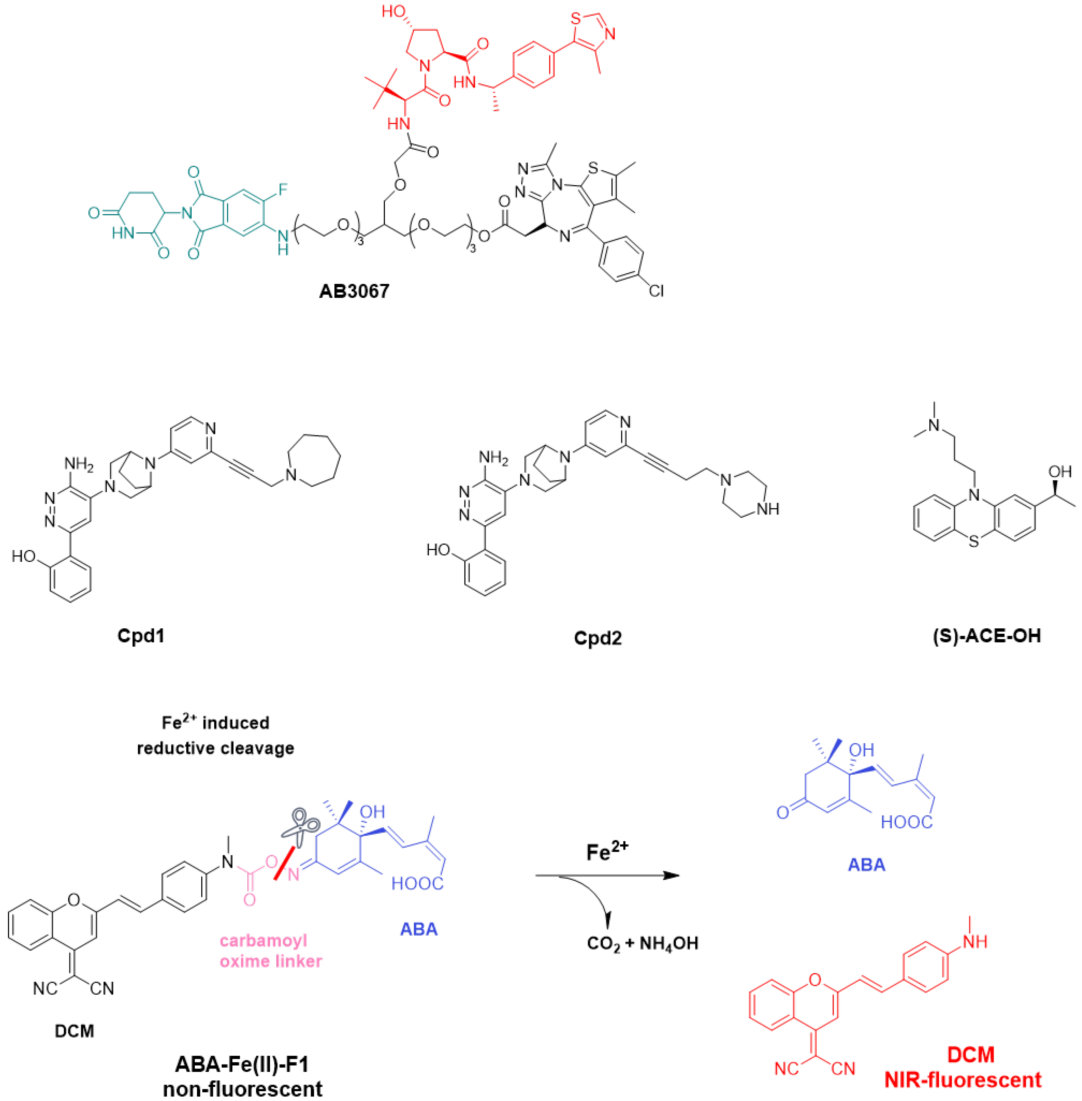 Molecules 31 00459 g015