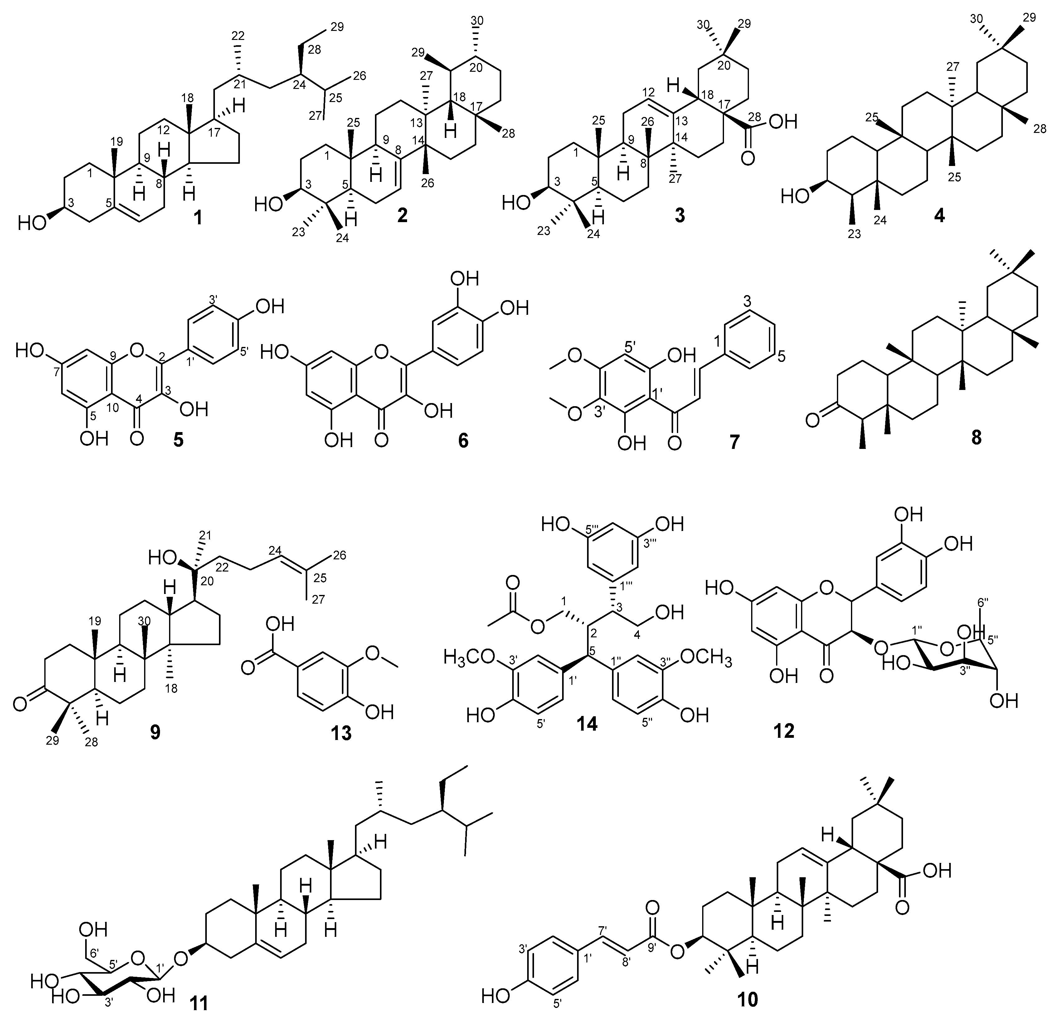 Molecules 31 00461 g001