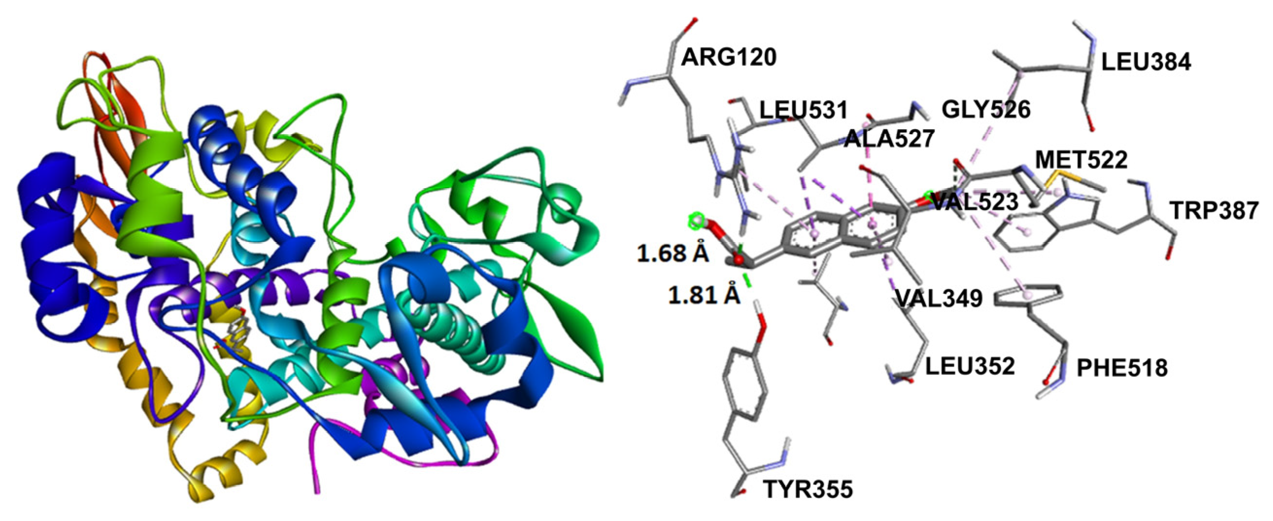 Molecules 31 00469 g010 Molecules 31 00469 g010