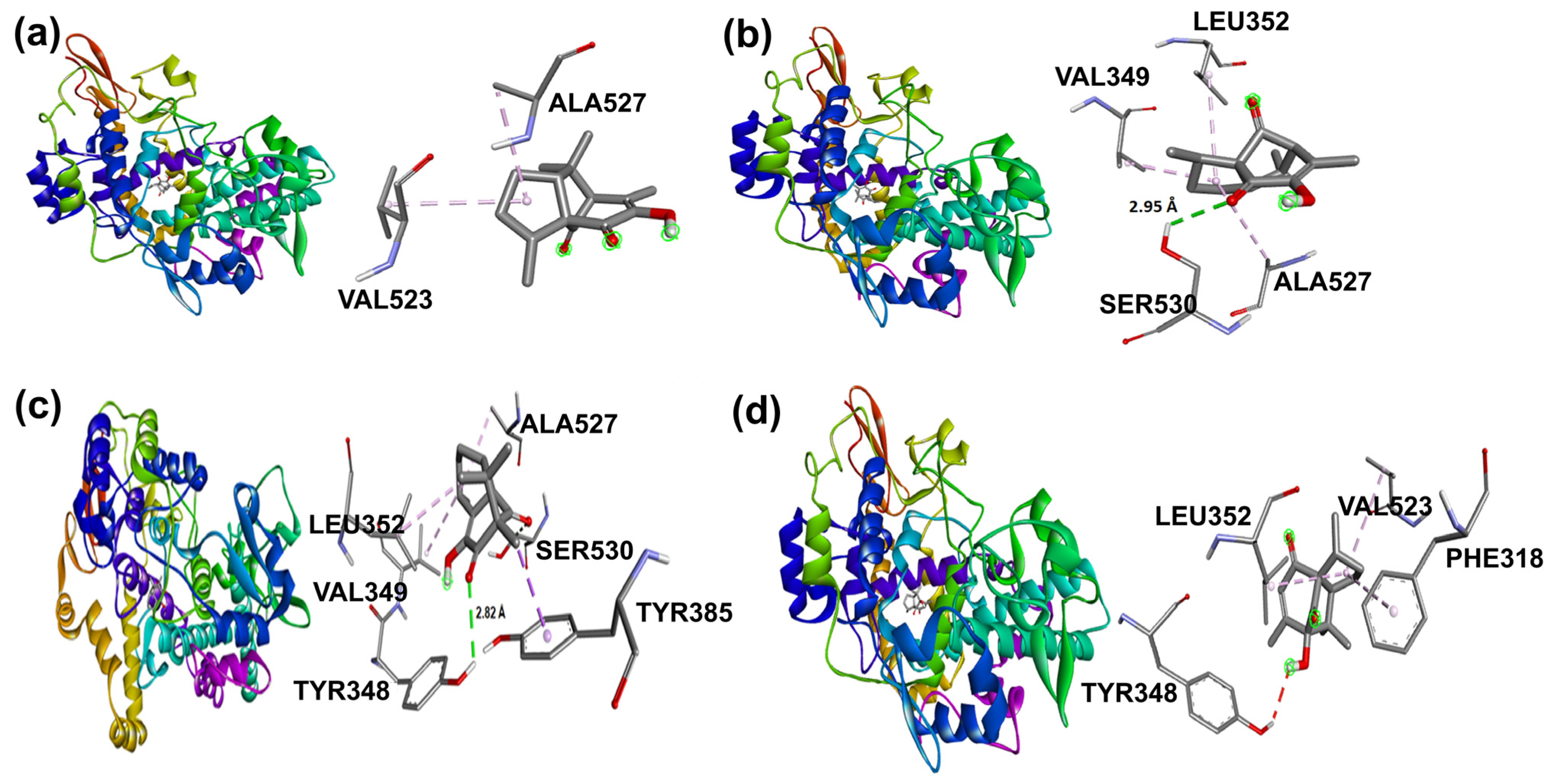 Molecules 31 00469 g011 Molecules 31 00469 g011