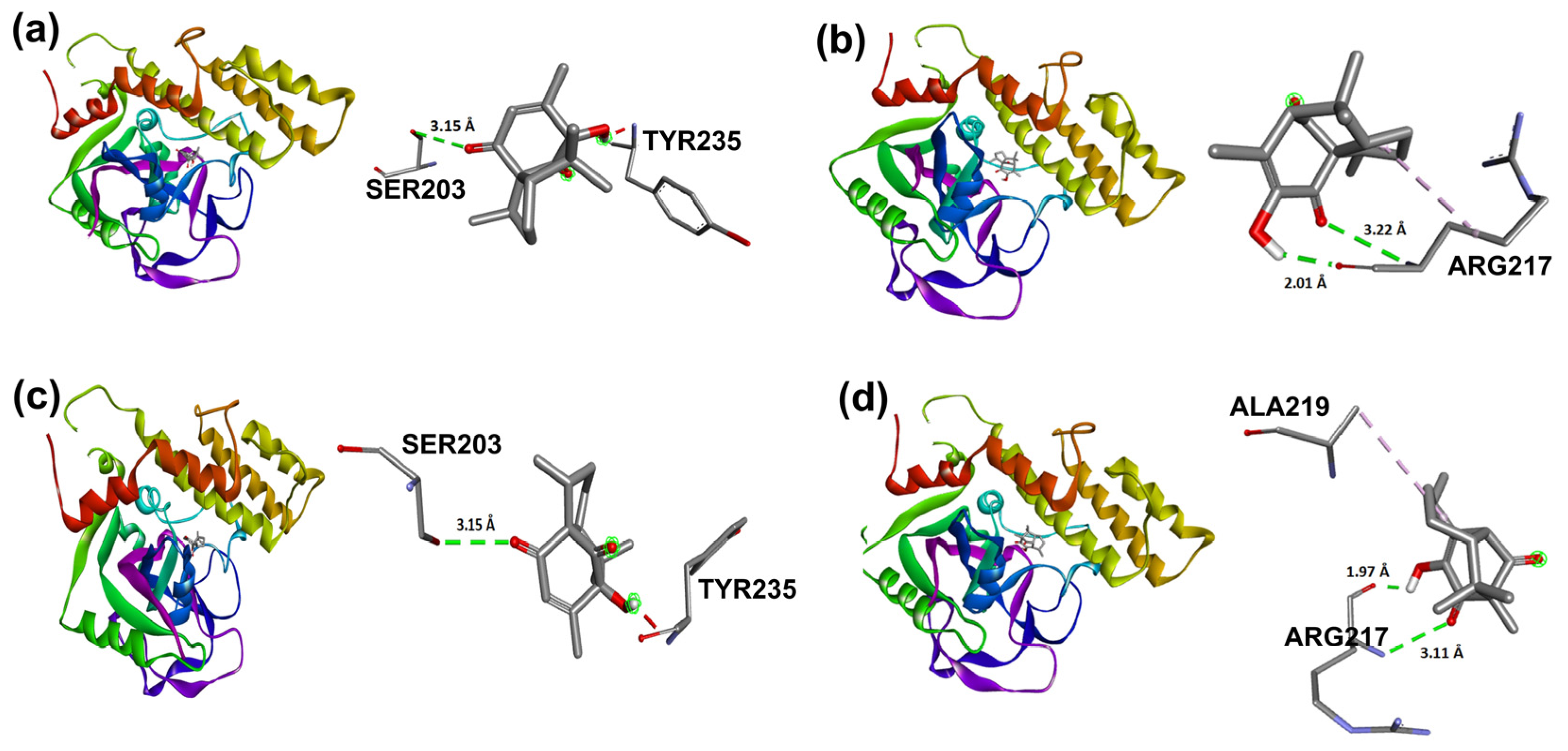 Molecules 31 00469 g014 Molecules 31 00469 g014