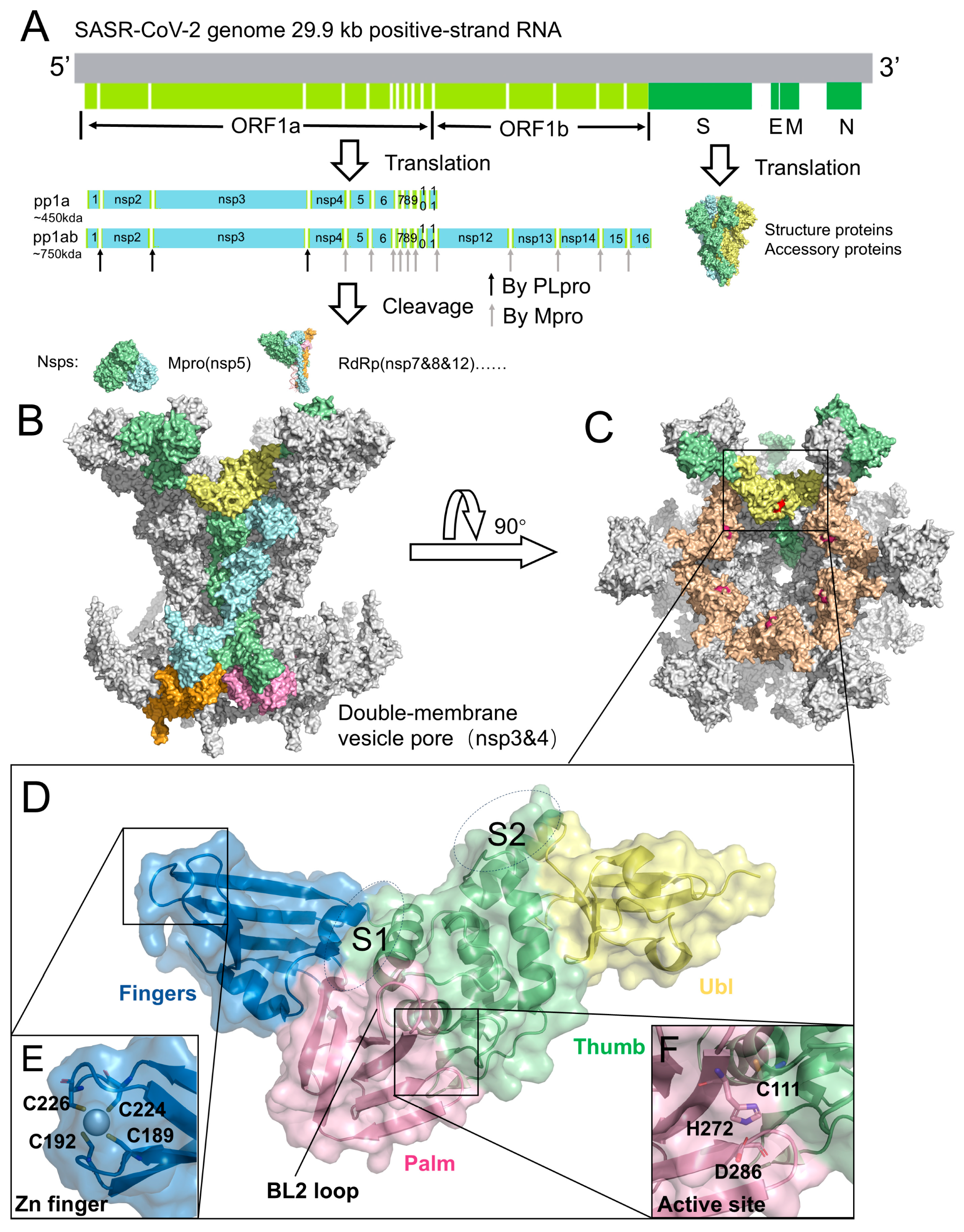 Molecules 31 00474 g001 Molecules 31 00474 g001