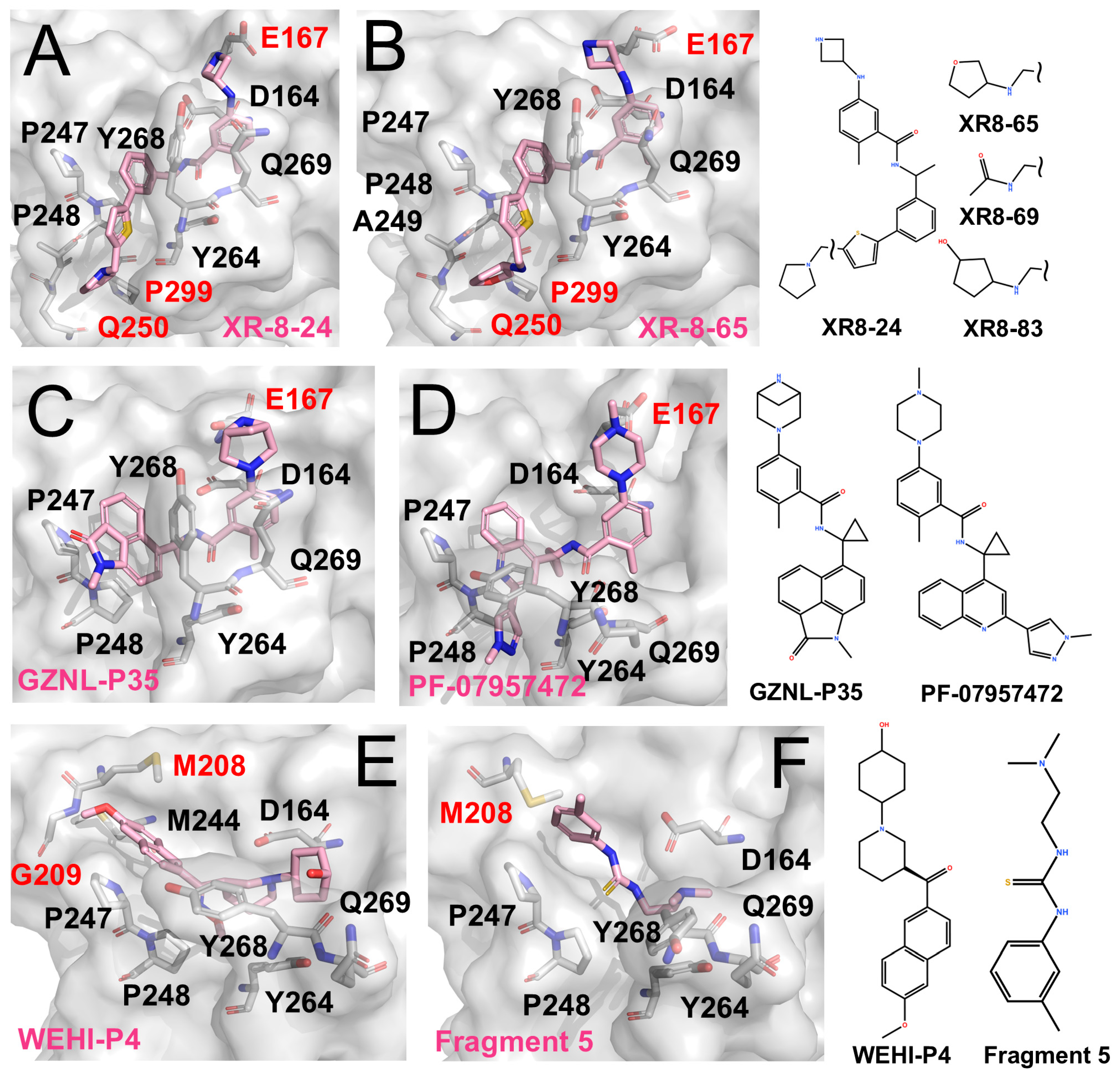 Molecules 31 00474 g003 Molecules 31 00474 g003
