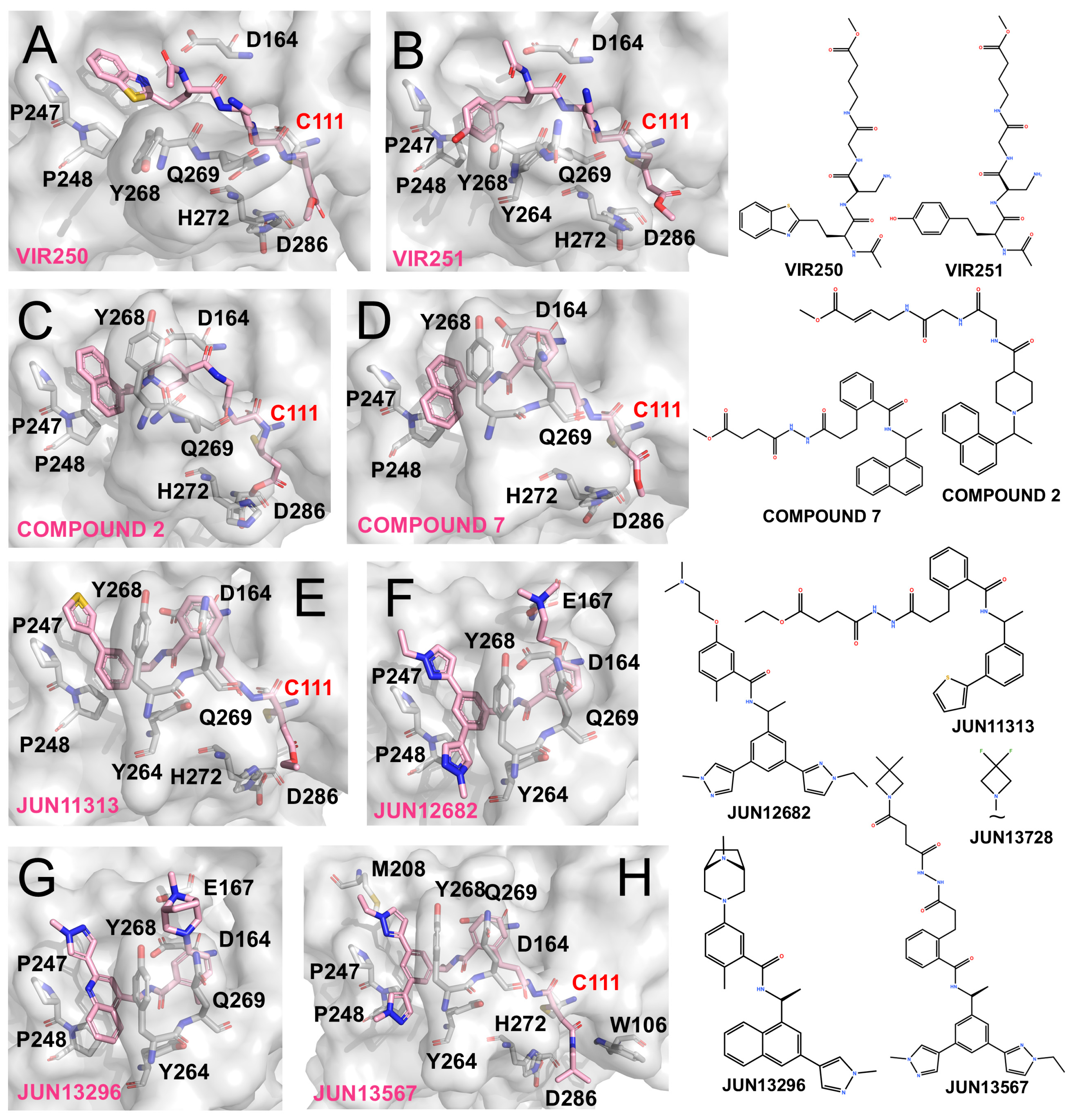 Molecules 31 00474 g004 Molecules 31 00474 g004