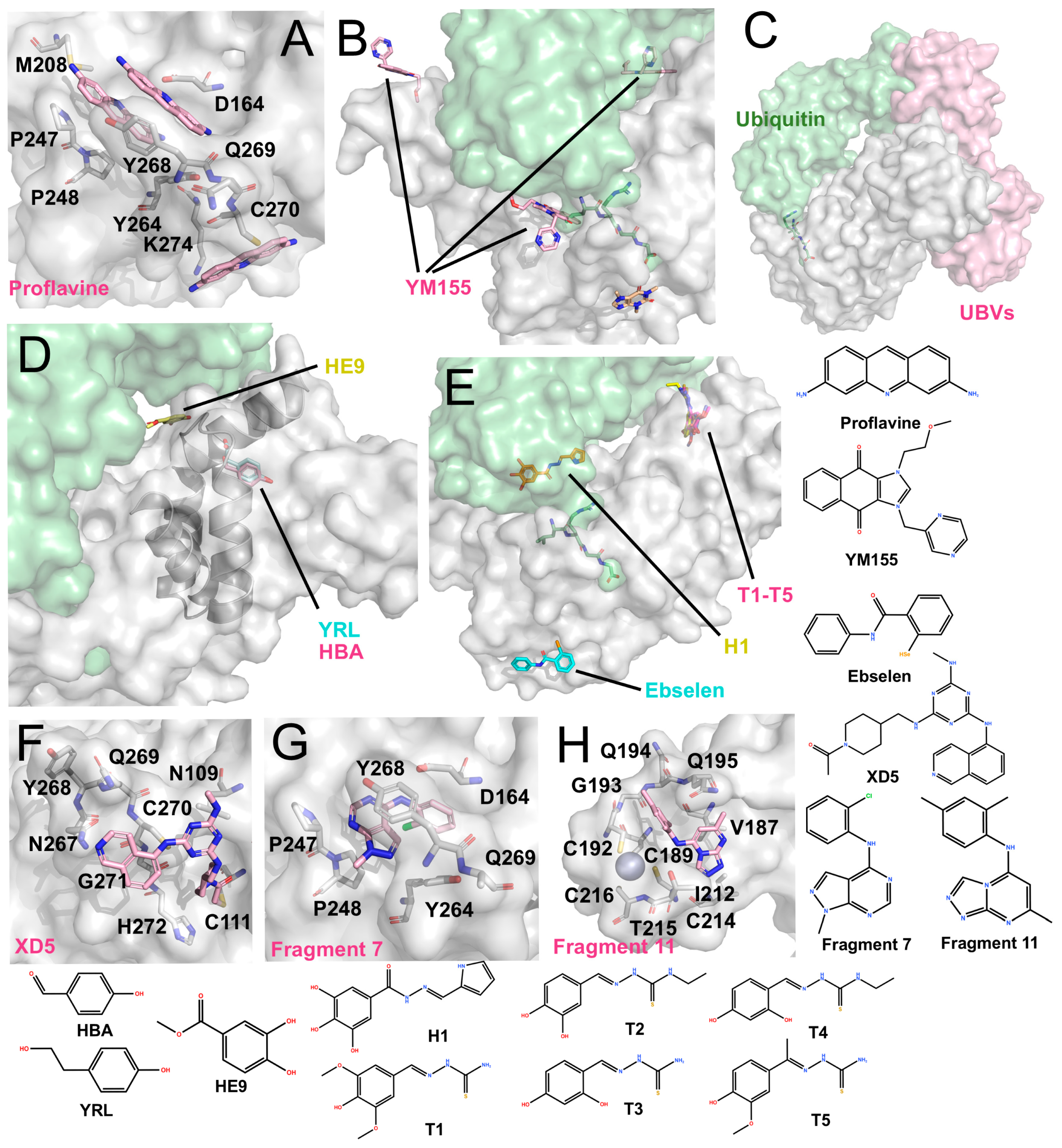 Molecules 31 00474 g005 Molecules 31 00474 g005