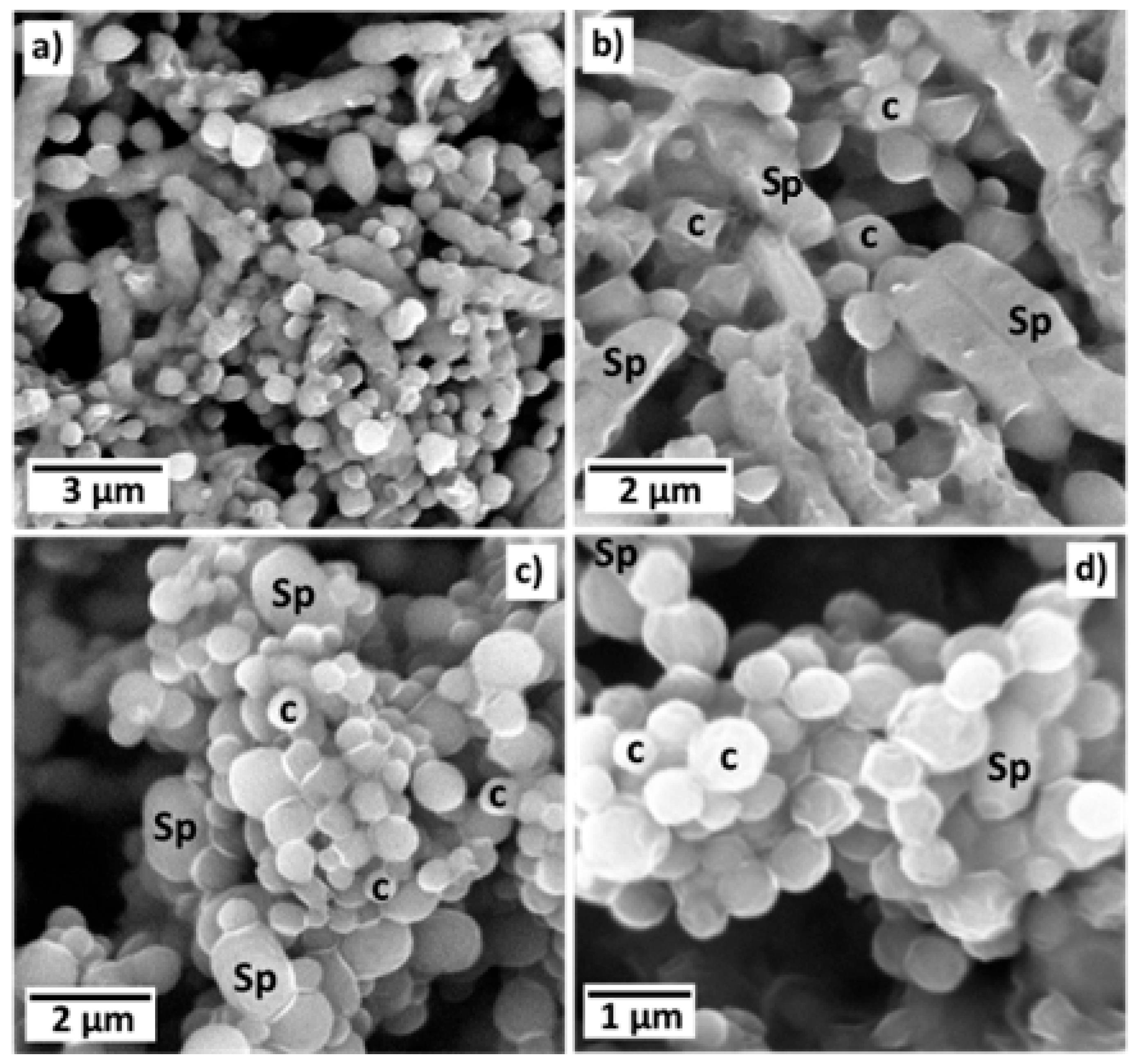 Molecules 31 00475 g001 Molecules 31 00475 g001