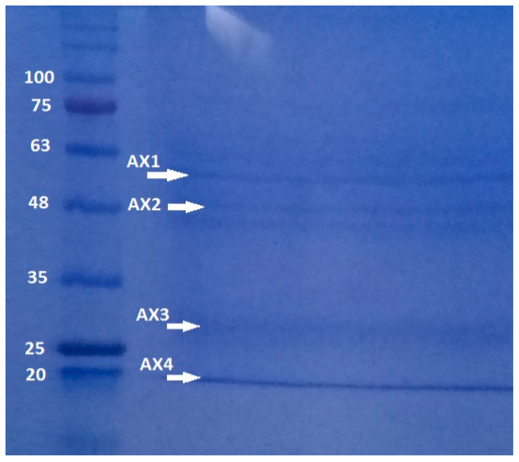 Molecules 31 00475 g003 Molecules 31 00475 g003