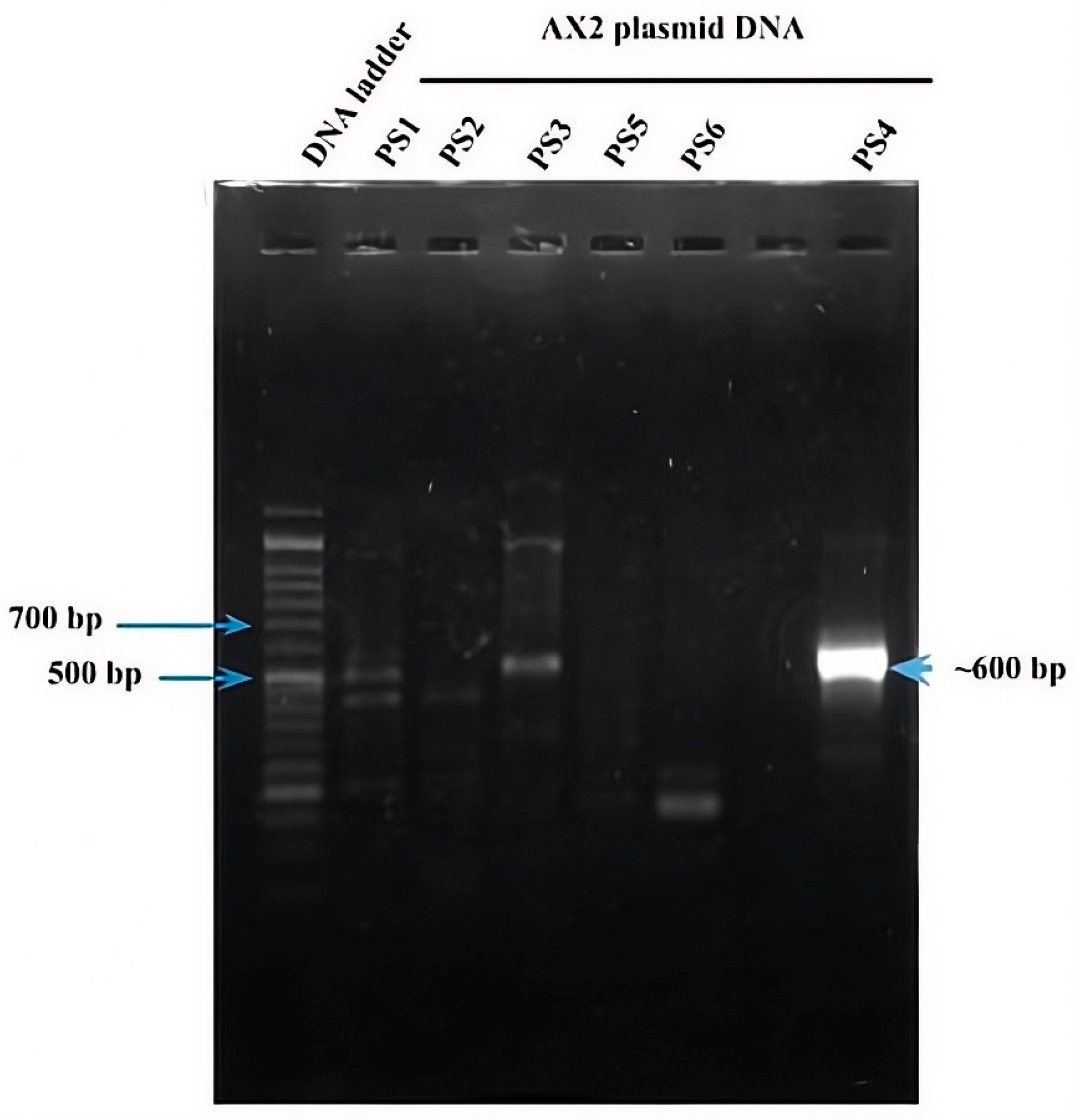 Molecules 31 00475 g004 Molecules 31 00475 g004