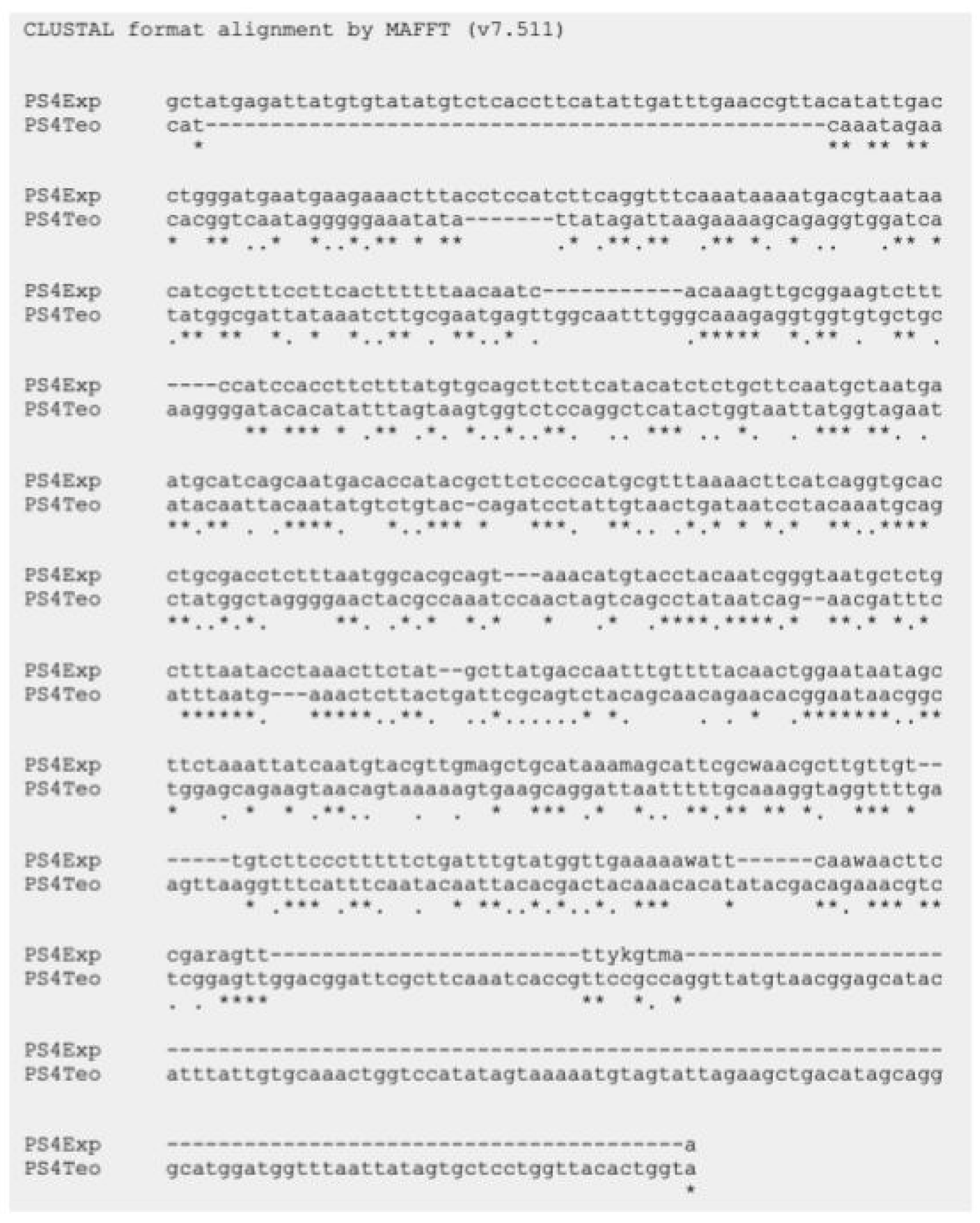 Molecules 31 00475 g005 Molecules 31 00475 g005