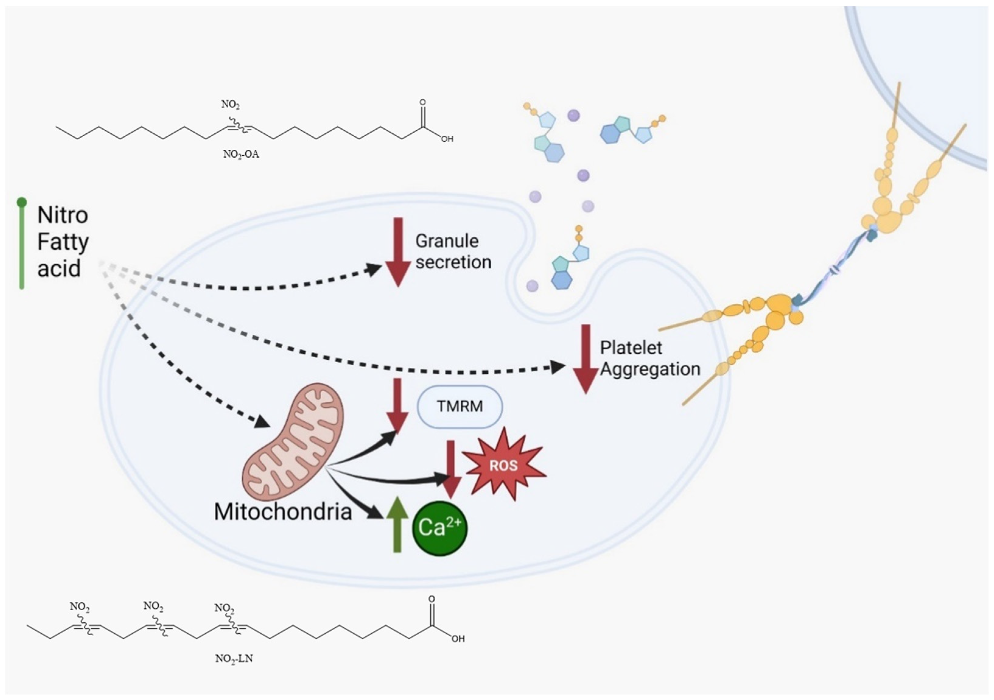 Molecules 31 00488 g005 Molecules 31 00488 g005