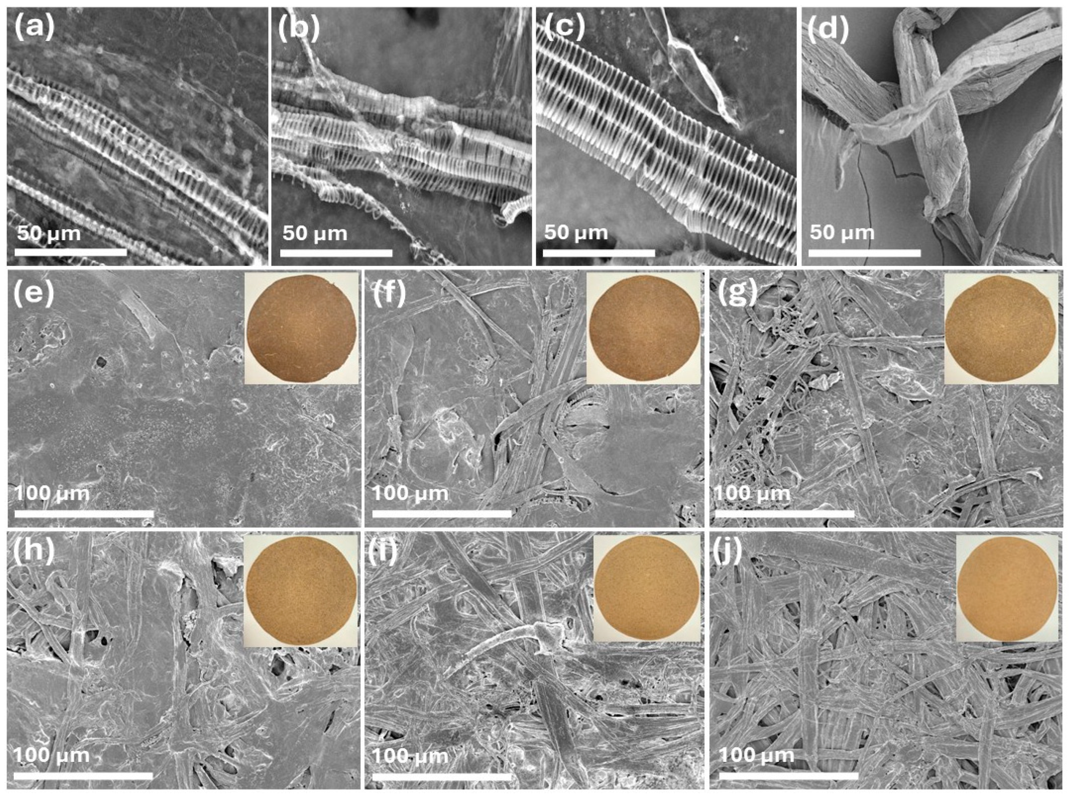 Molecules 31 00500 g002 Molecules 31 00500 g002