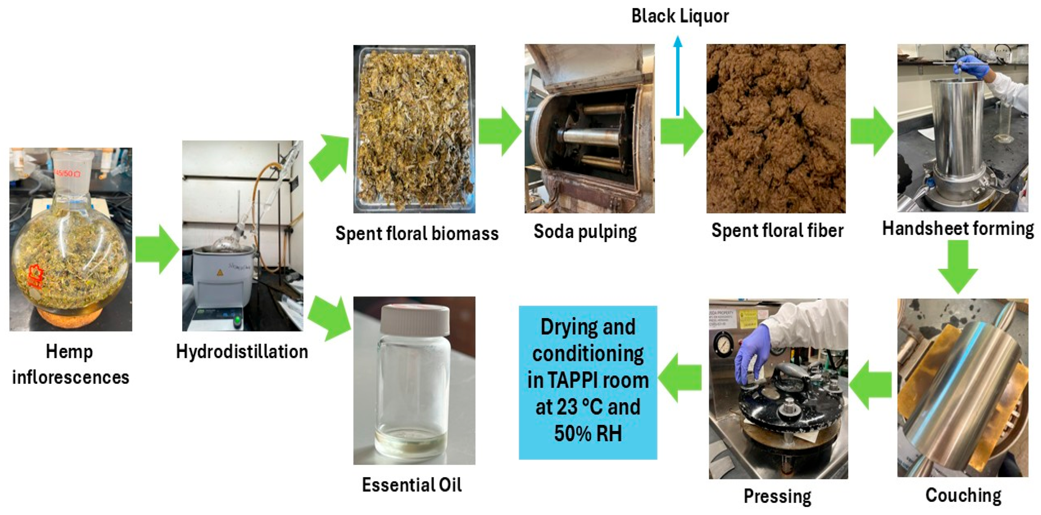 Molecules 31 00500 g004 Molecules 31 00500 g004