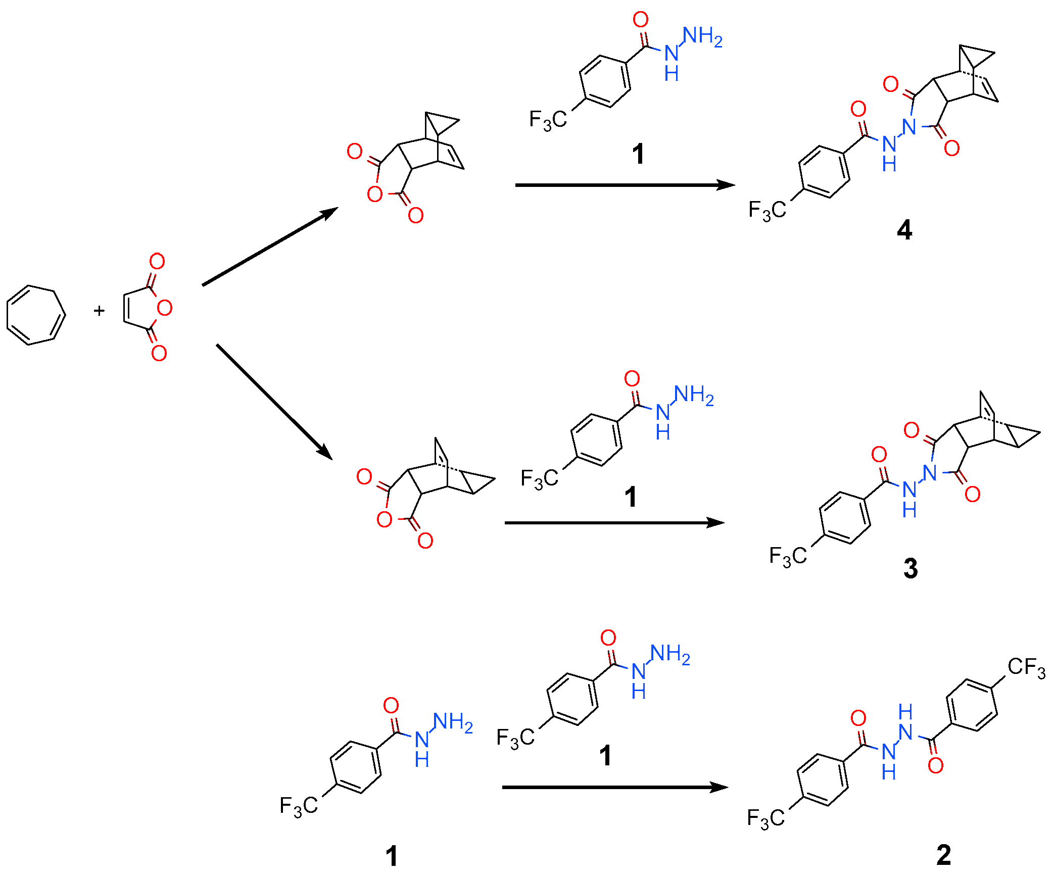 Molecules 31 00502 sch001 Molecules 31 00502 sch001