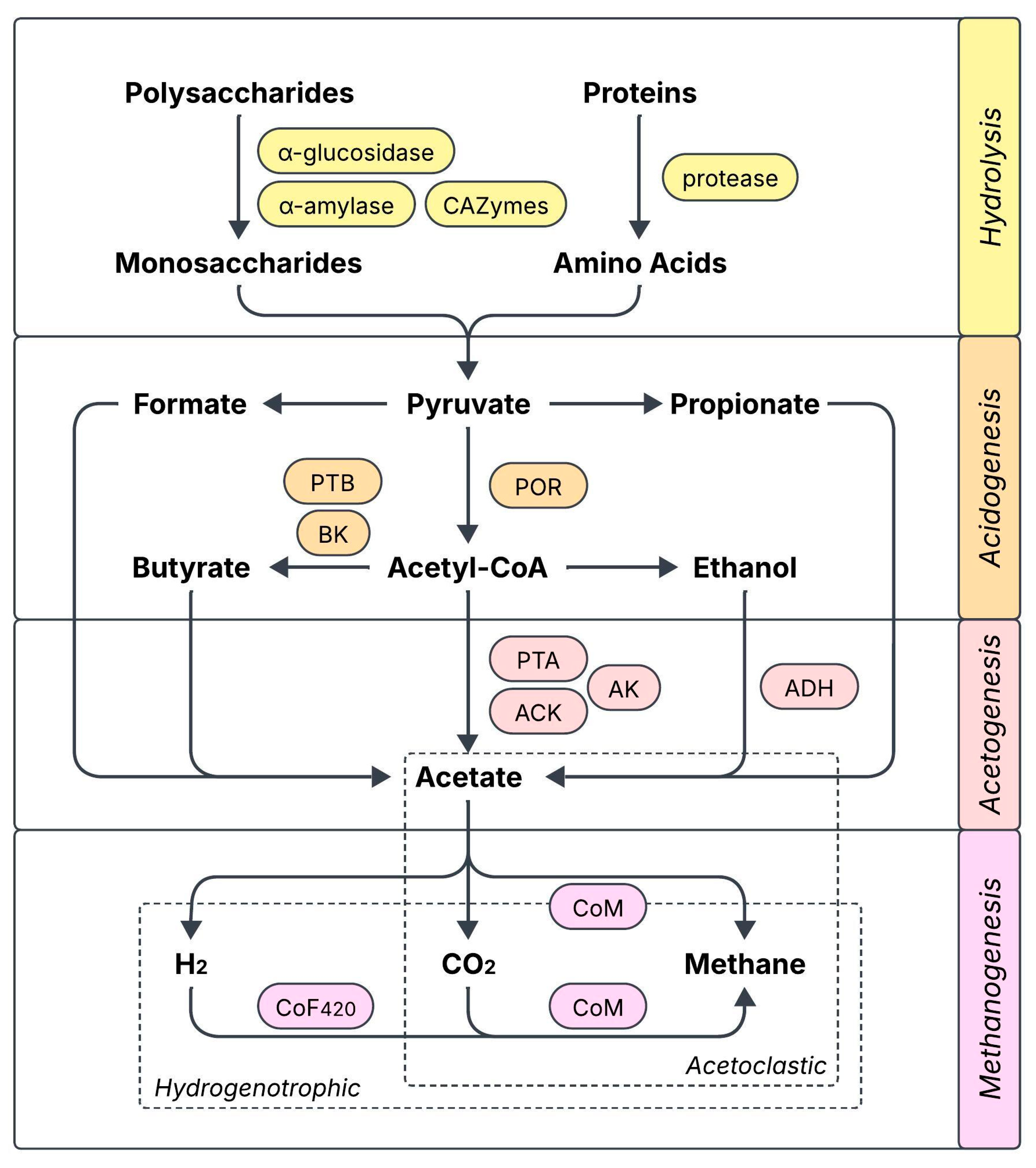 Molecules 31 00503 g001