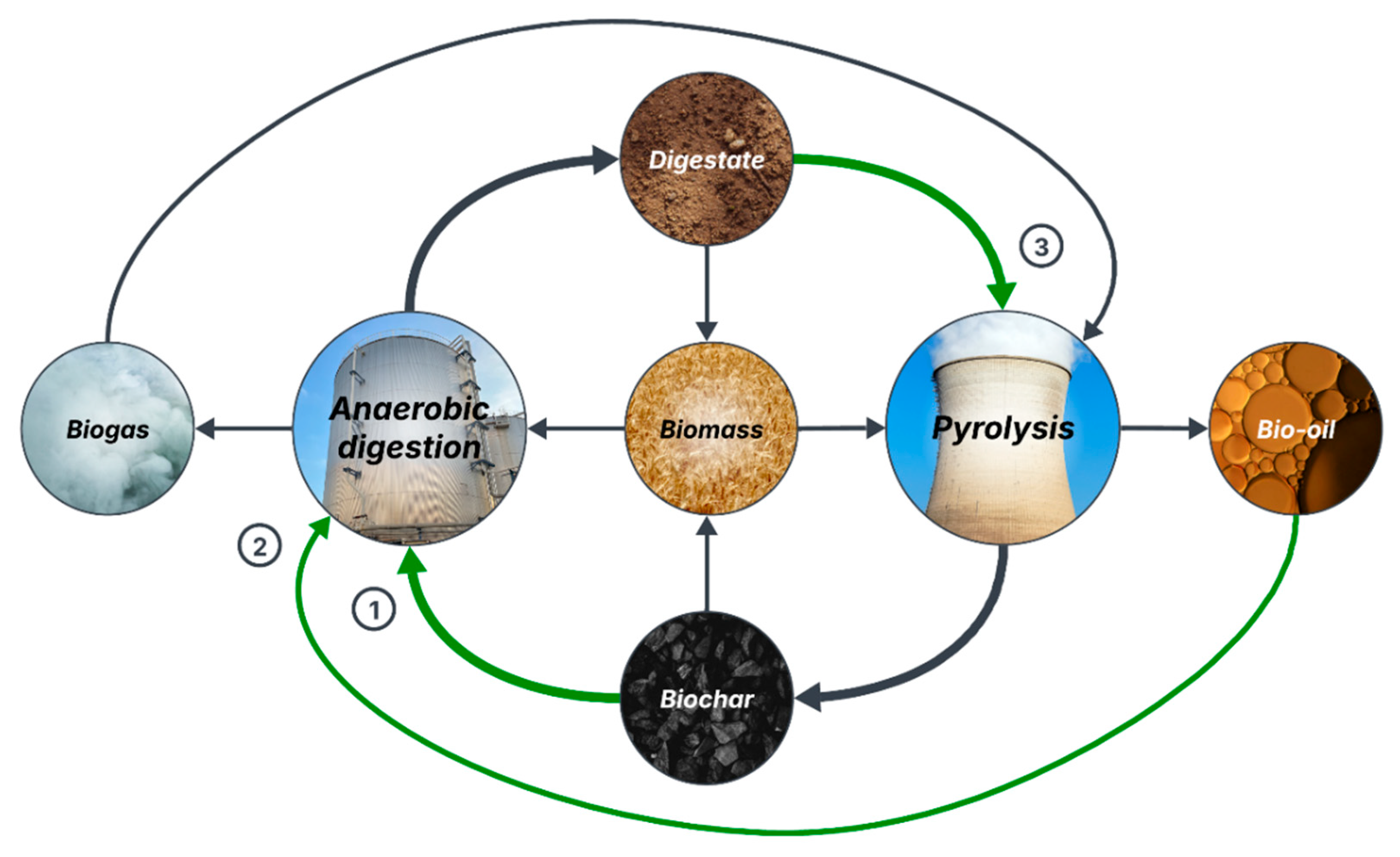 Molecules 31 00503 g002