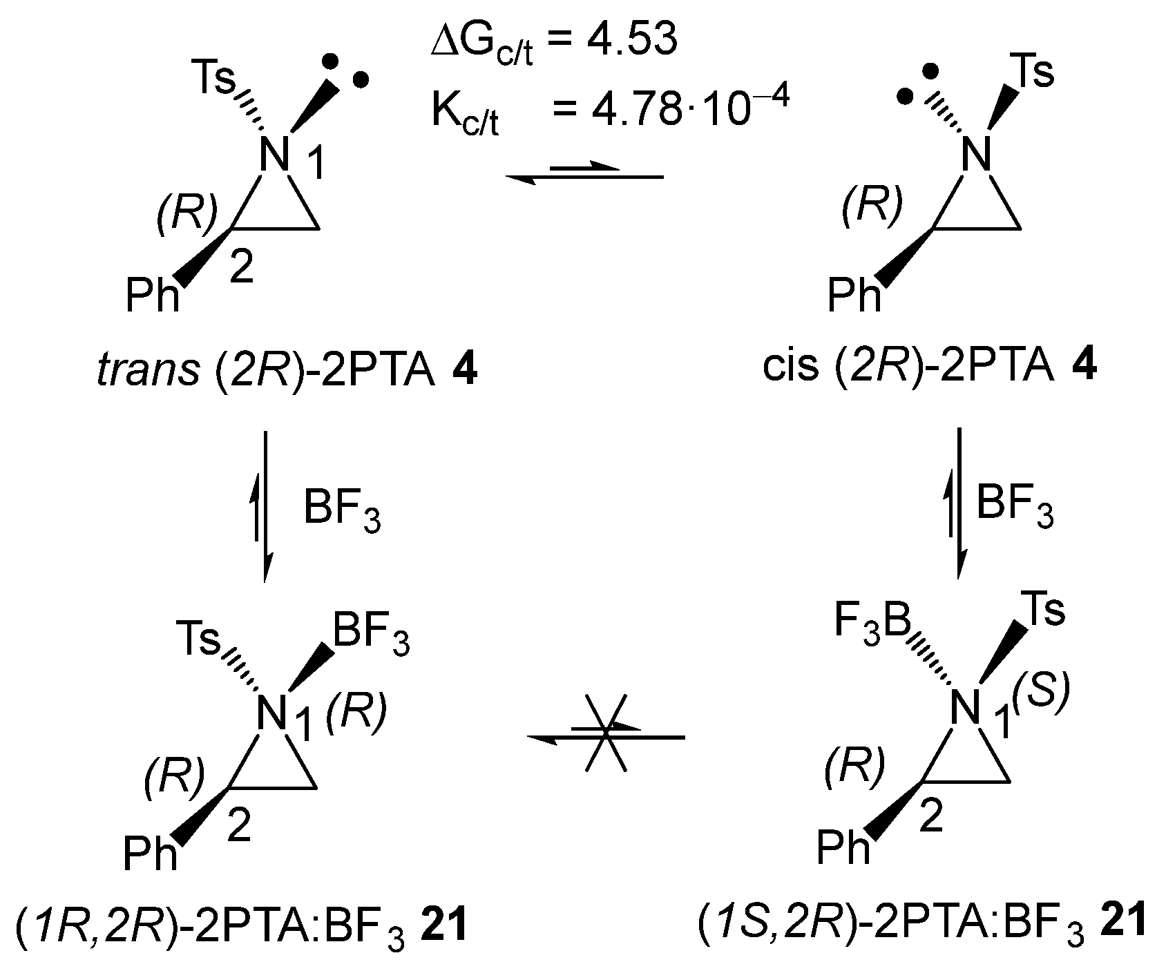 Molecules 31 00509 sch007 Molecules 31 00509 sch007