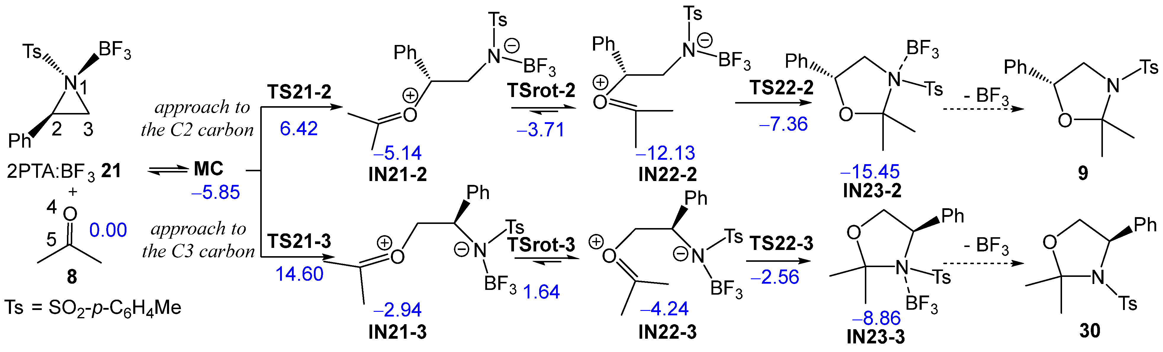 Molecules 31 00509 sch009 Molecules 31 00509 sch009